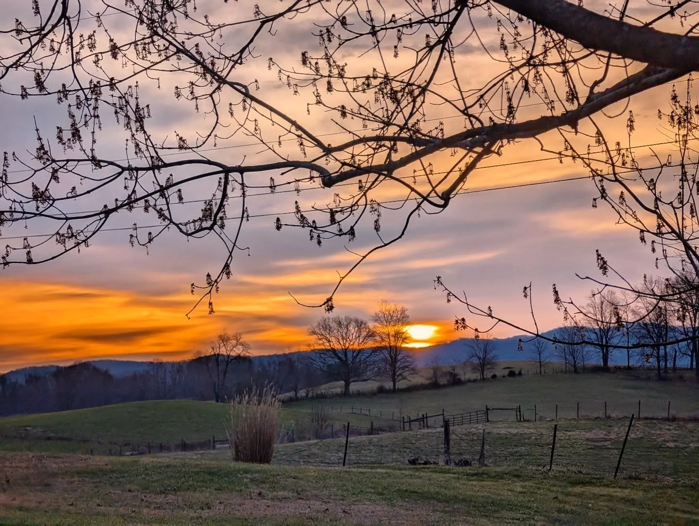 Gold and Lavender Sunrise

#sunrise #golden #lavender #blueridgemountains #notallwhowanderarelost