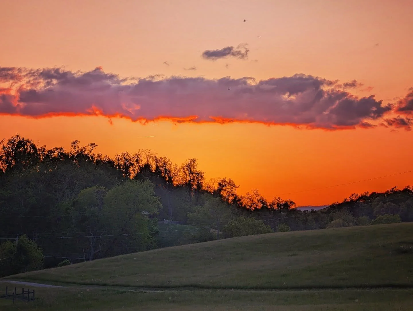 Orange sunset

#orange #sunsetlovers #sunset #glow #notallwhowanderarelost