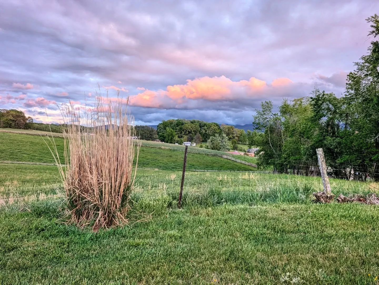 Sunset clouds eastern sky

#pink #sunset #clouds #countrylife #notallwhowanderarelost