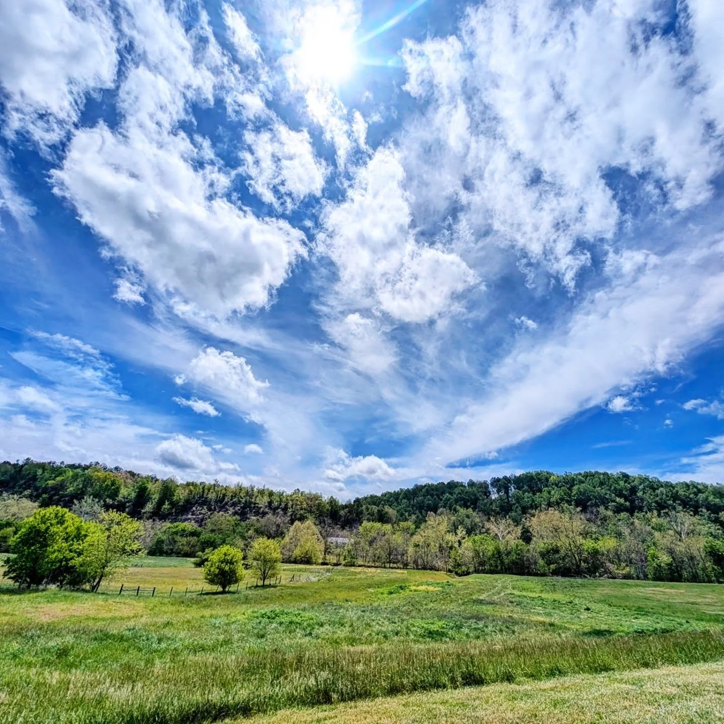Blue Skies

#blue #clouds #landscape #sky #notallwhowanderarelost