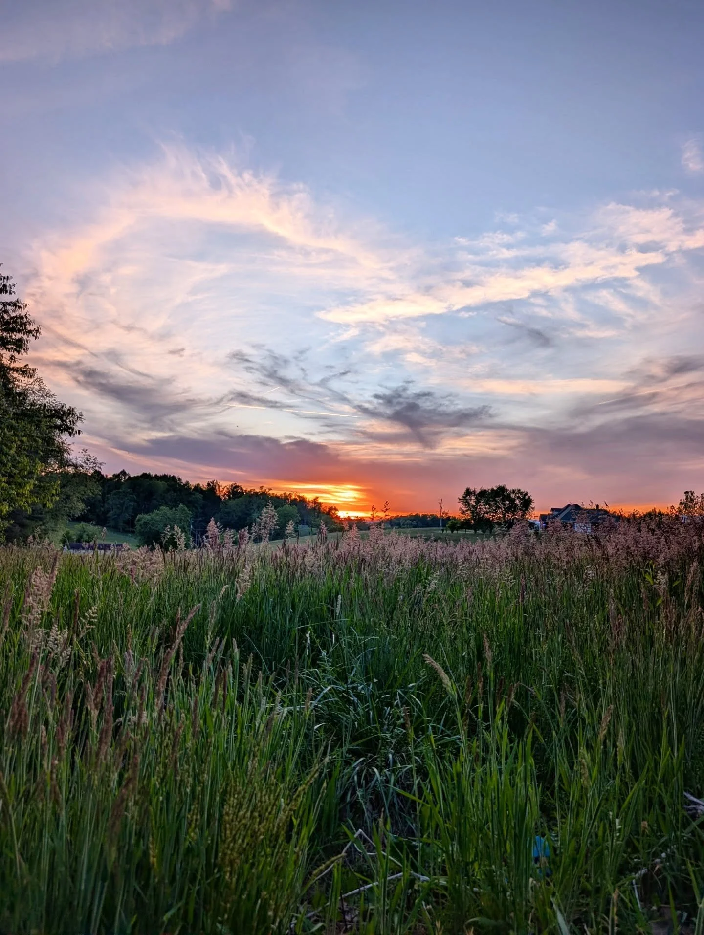 Through the grass

#sunset #orange #clouds #countrylife #notallwhowanderarelost