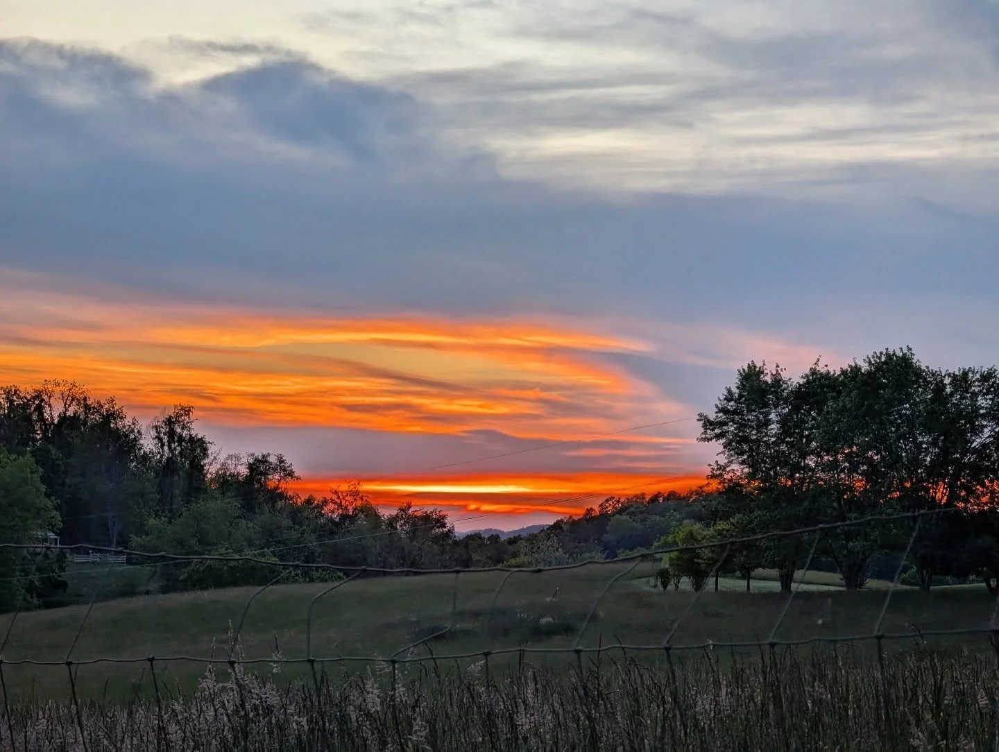 Last Light

#sunset #orange #eveningwalk #country #notallwhowanderarelost