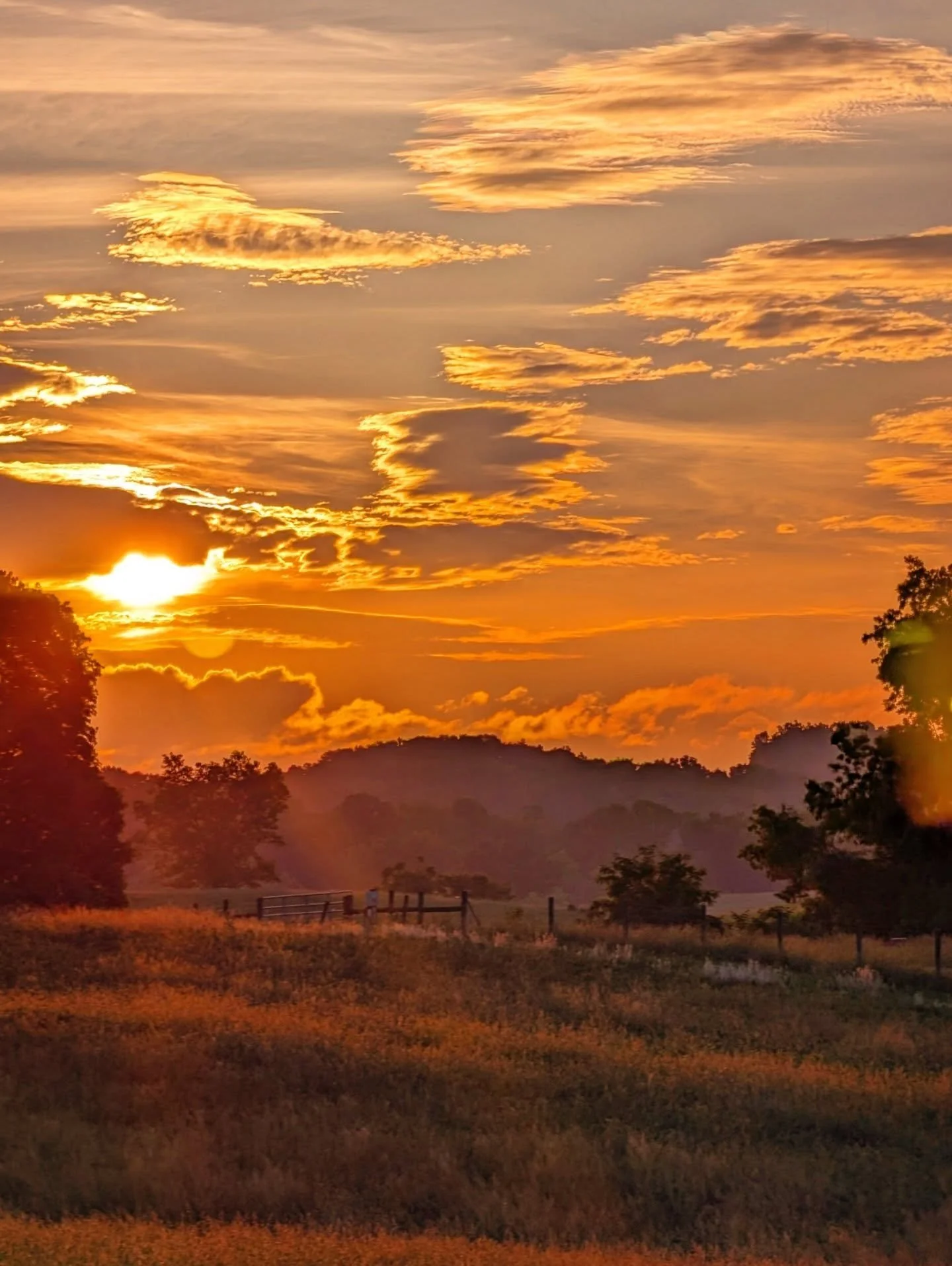Golden Morning

#golden #sunrise #country #dawn #notallwhowanderarelost