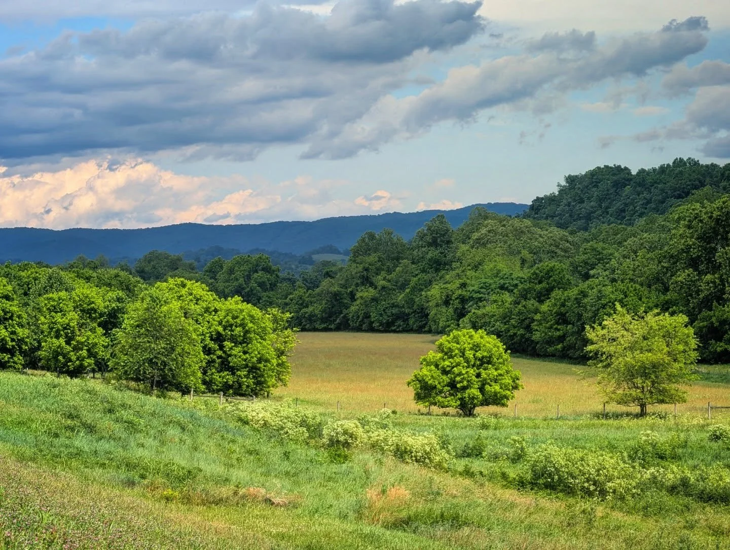 Same spot, different times

#time #light #landscape #blueridgemountains #notallwhowanderarelost