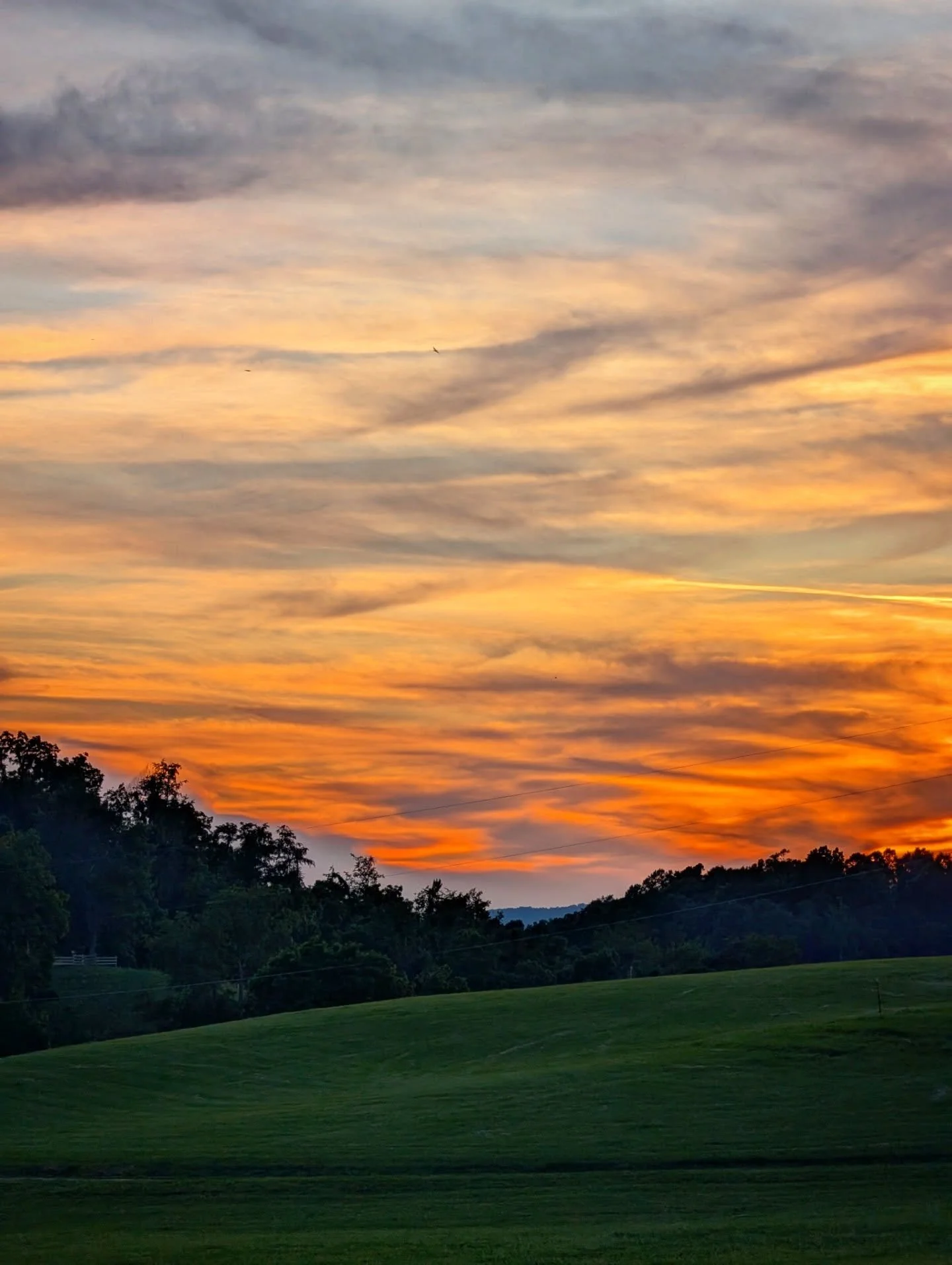 Orange sunset last night

#orange #sunset #landscape #countrylife #notallwhowanderarelost