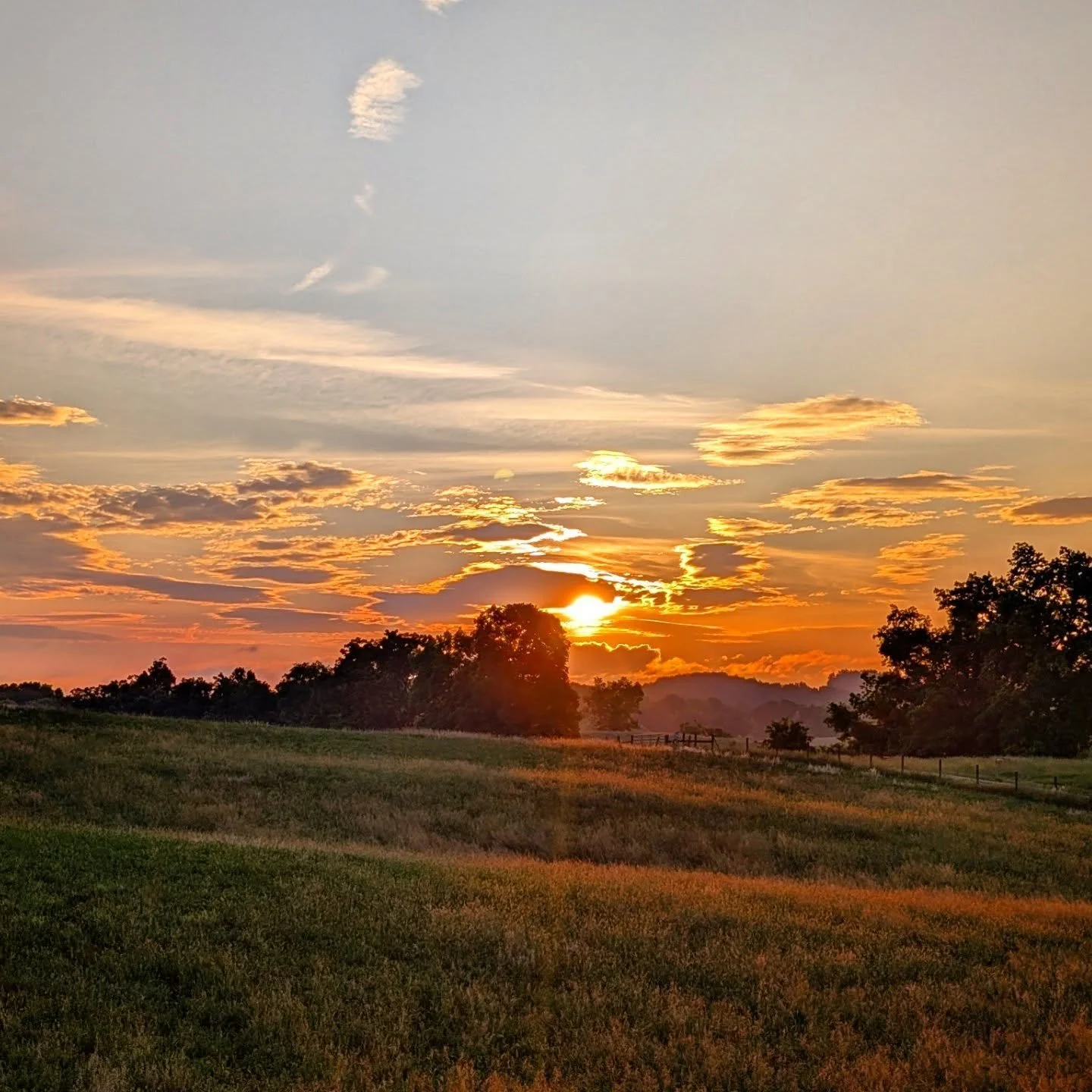 Orange Rays

#orange #sunrise #purplemountains #country #notallwhowanderarelost