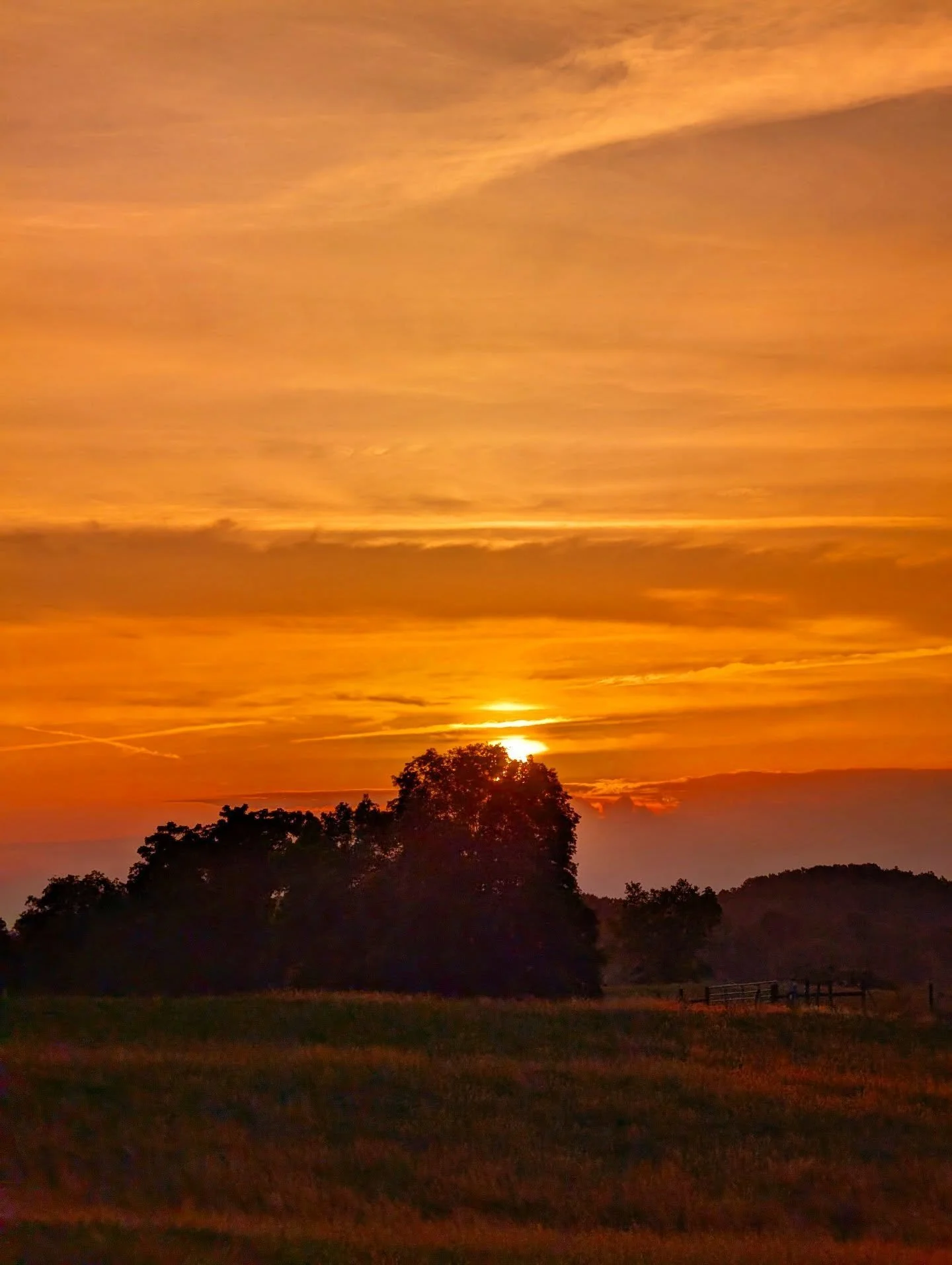 Orange Sunrise

#sunrise #orange #golden #silhouette #notallwhowanderarelost