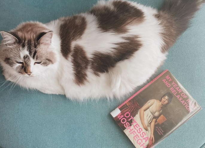 My Year of Rest and Relaxation.PNG