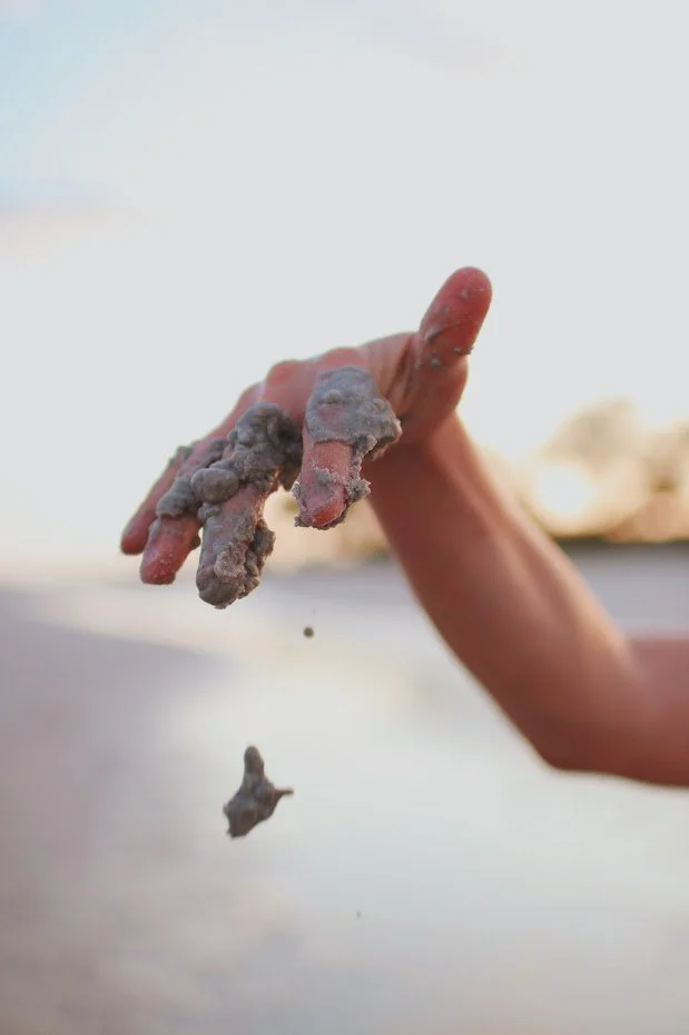 Sanibel Island, FL 2021