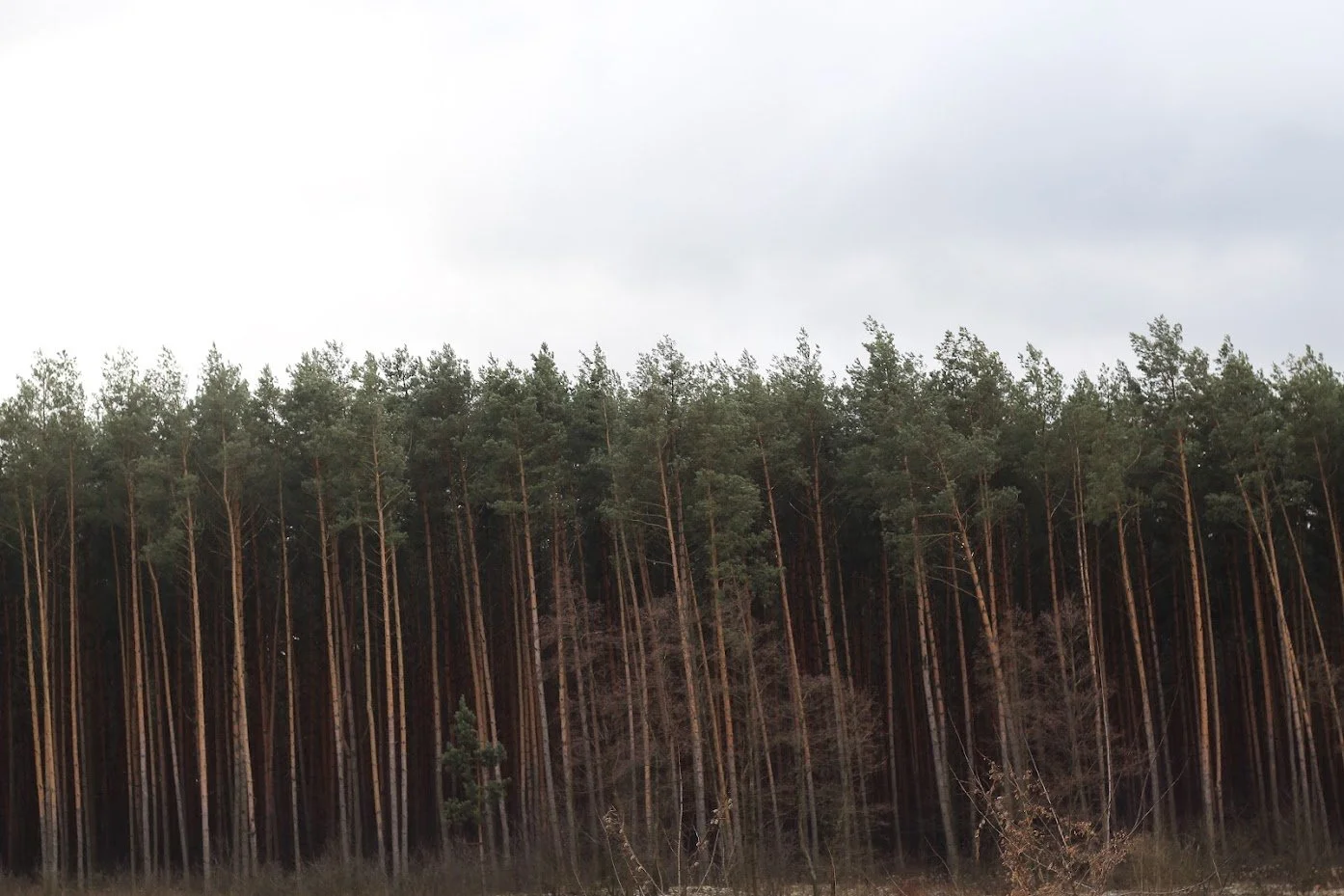 Zakosciele, Poland 2019