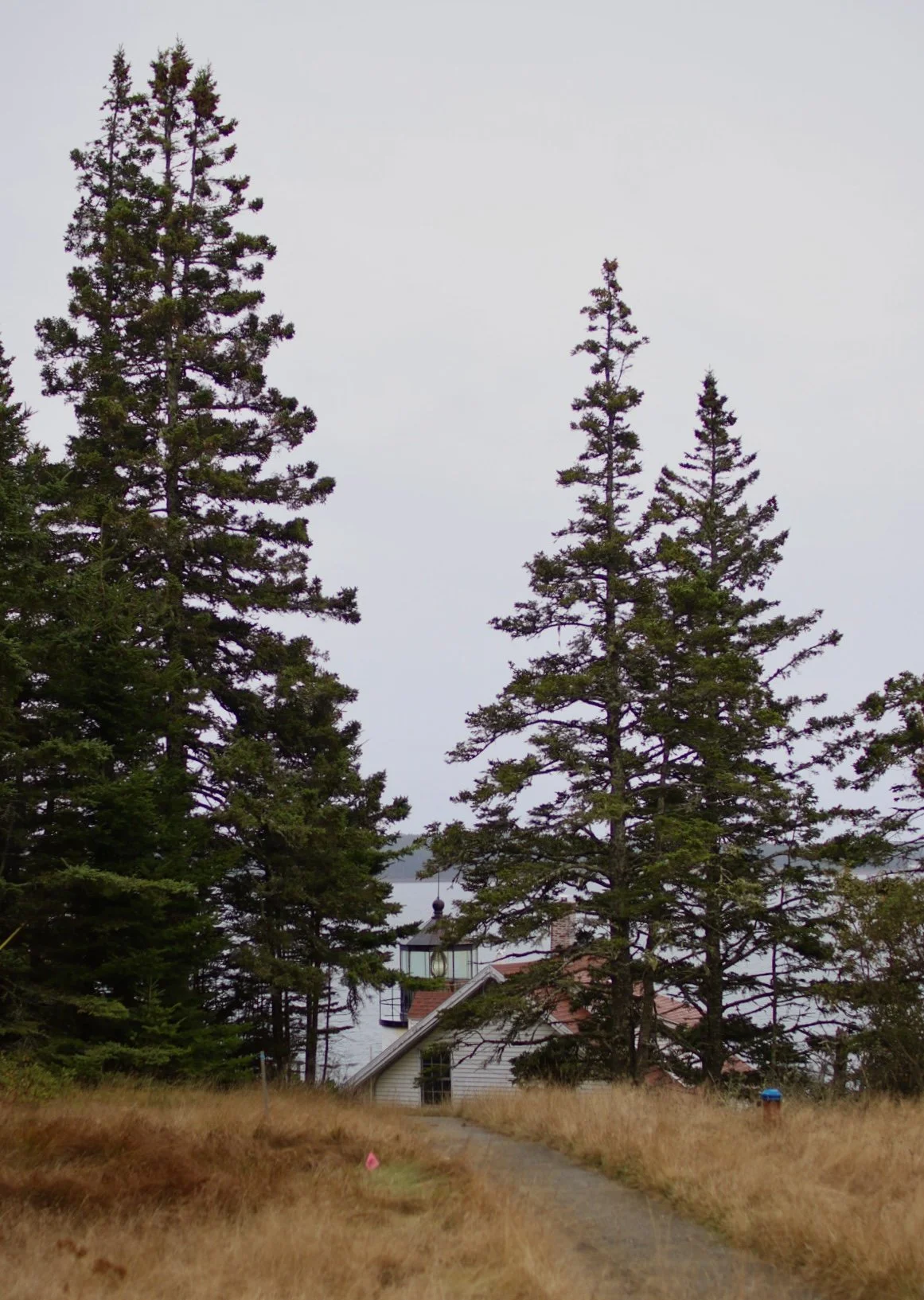 Bass Harbor Head Light, Acadia National Park, ME 2025