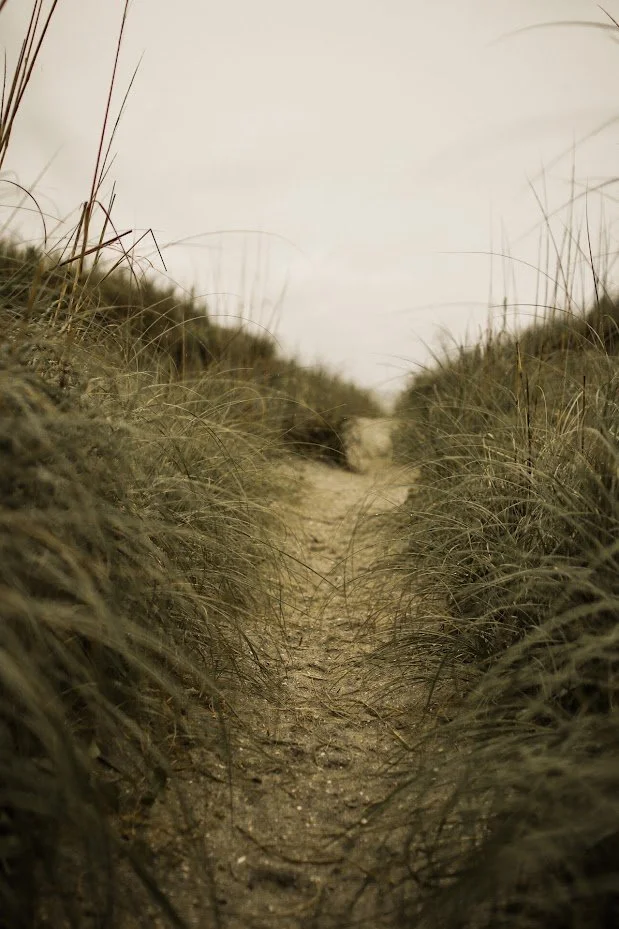 Myrtle Beach, SC 2020