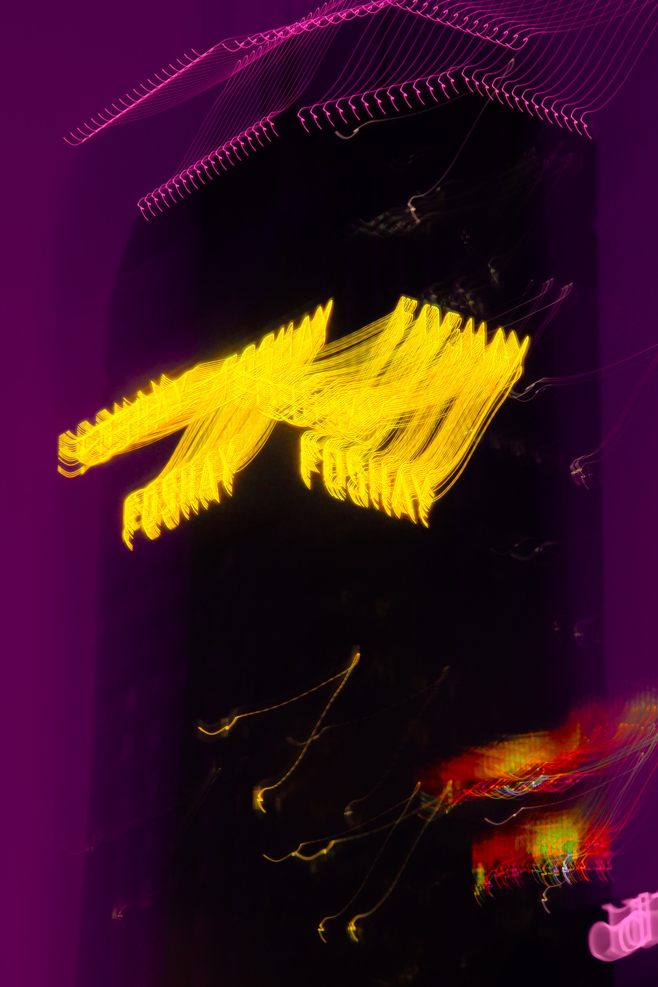 DSC_4226_yellow_min.jpg