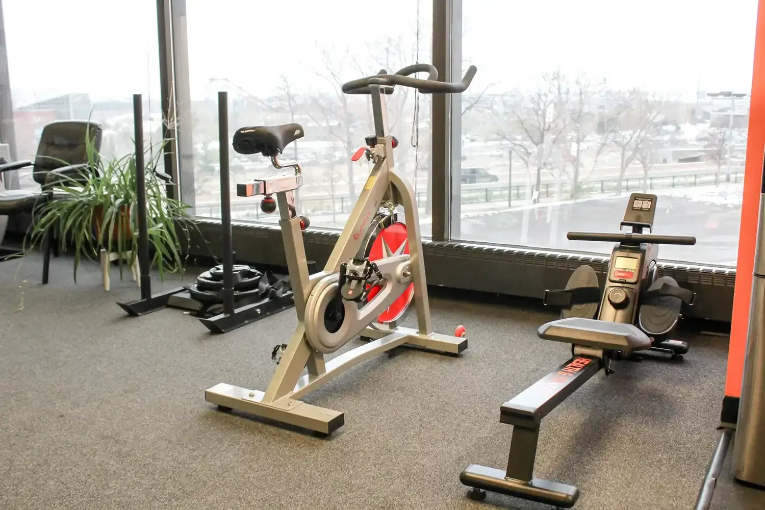 Indoor gym with exercise bikes, weight rack, chair, and plant, large window with cityscape view outside.