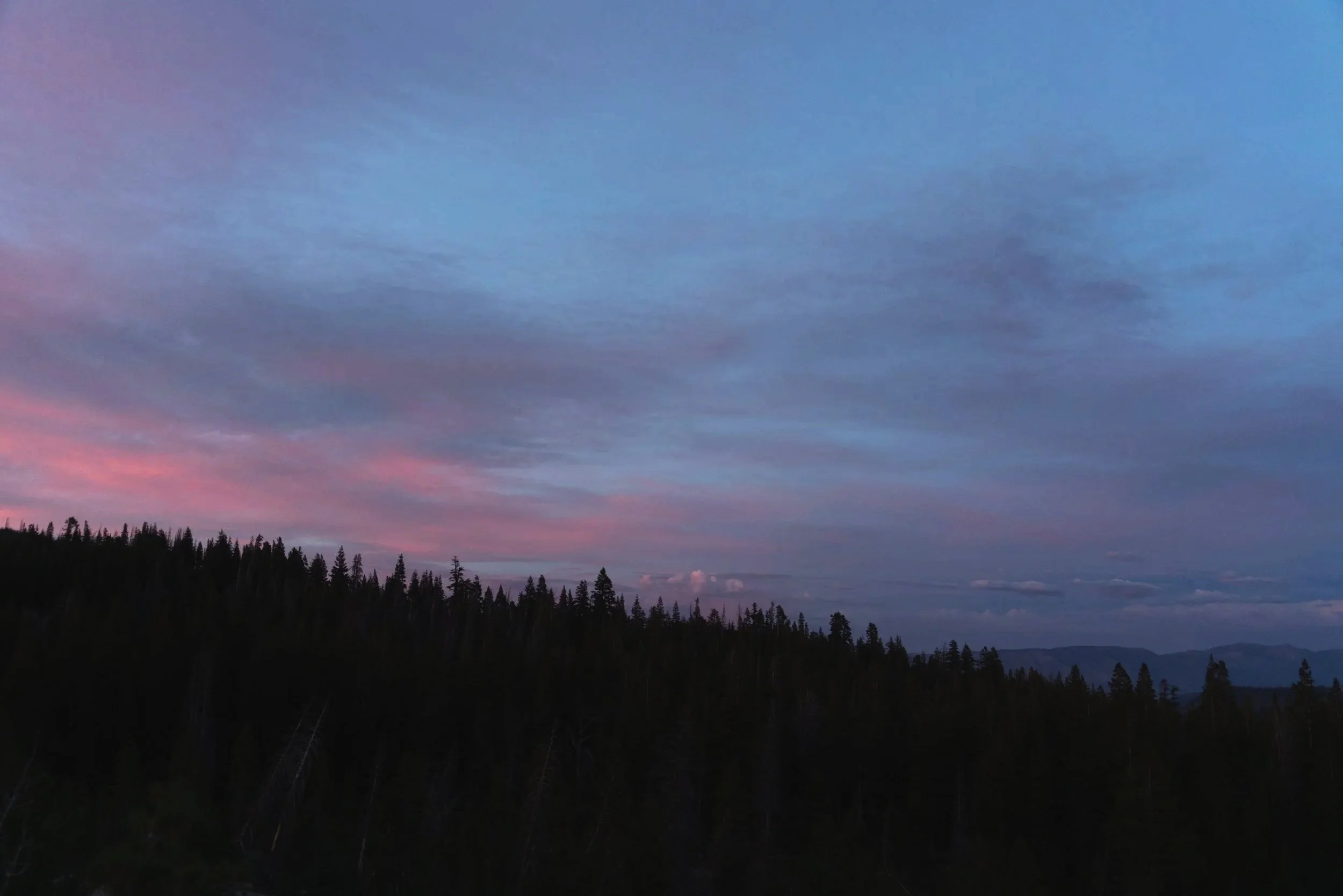20260823-DSC00113.jpg