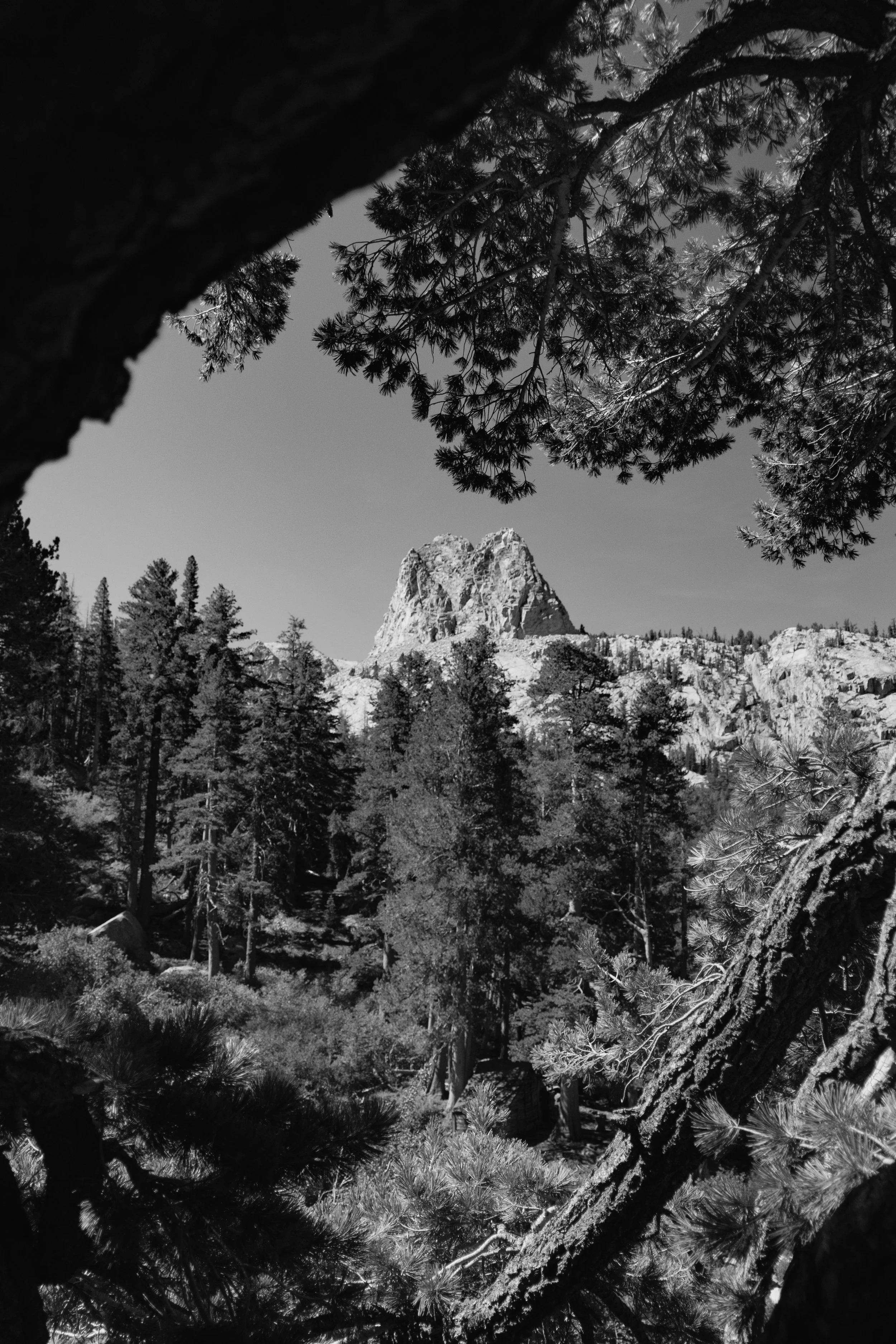 20260822-DSC09864.jpeg