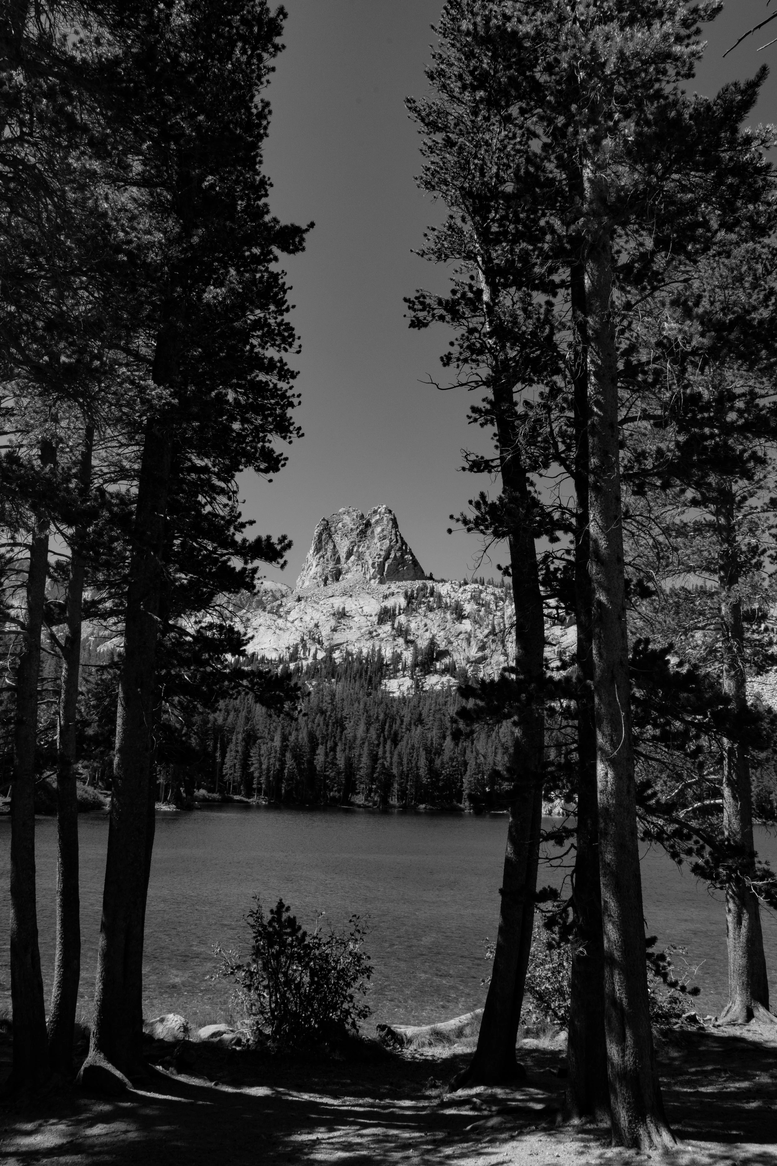 20260822-DSC09854.jpeg