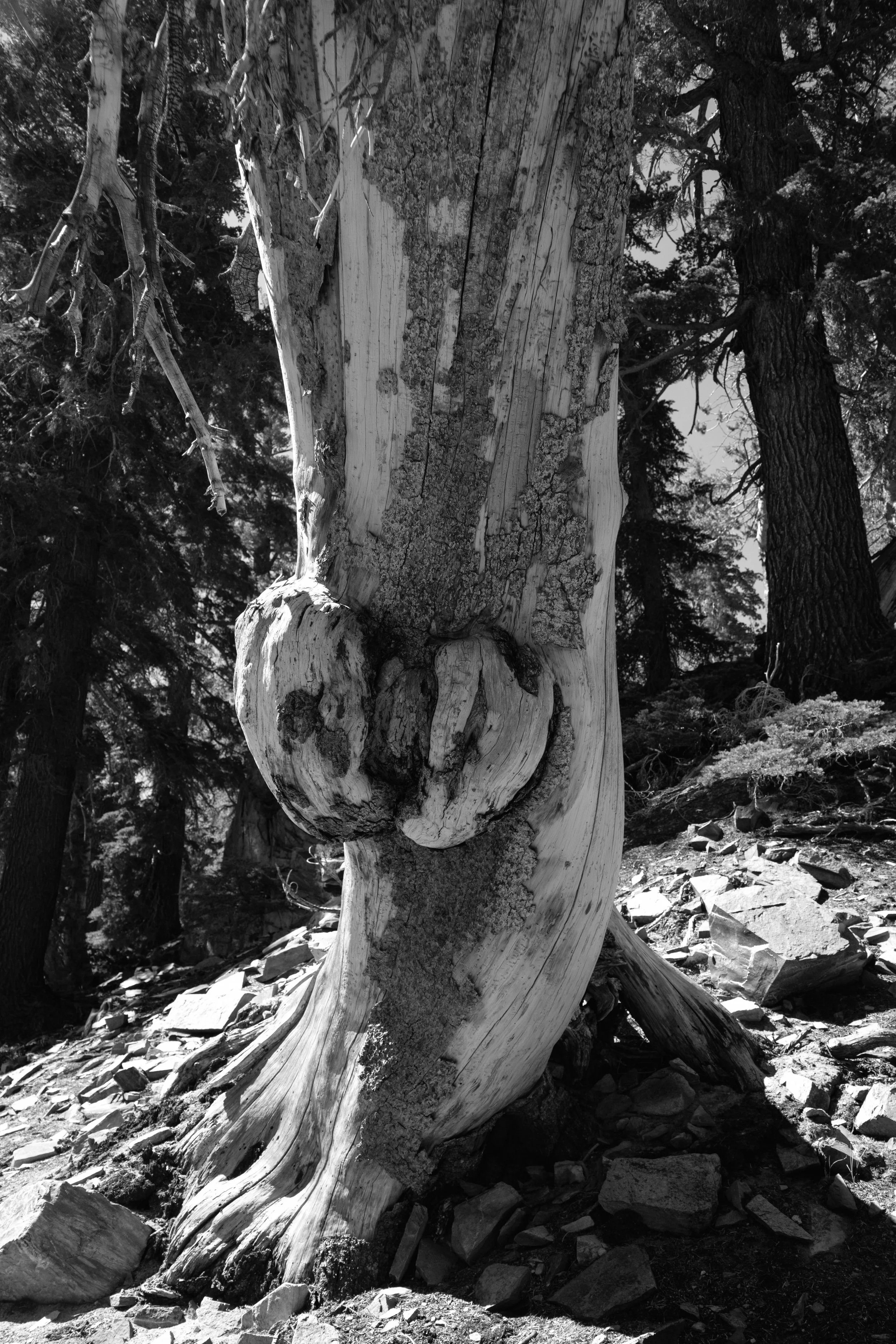 20260822-DSC09874.jpeg