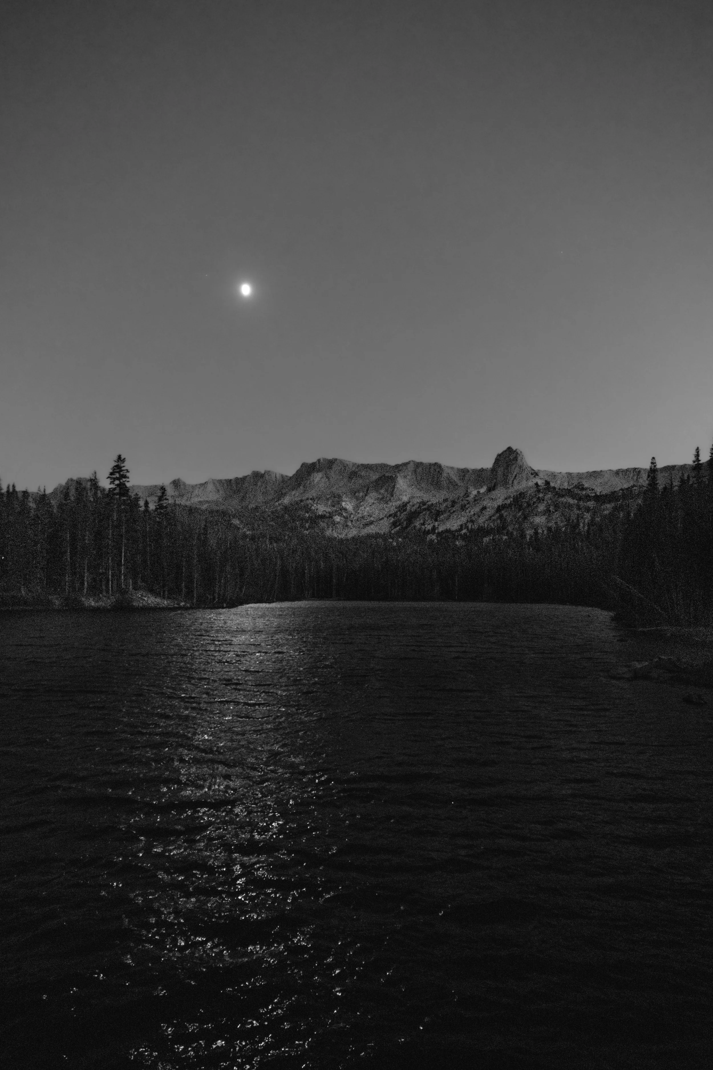 20260822-DSC09852.jpeg