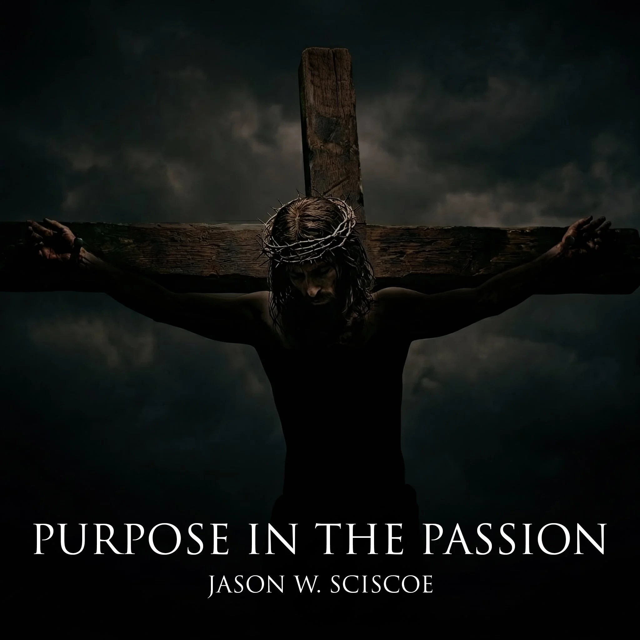 Purpose In The Passion