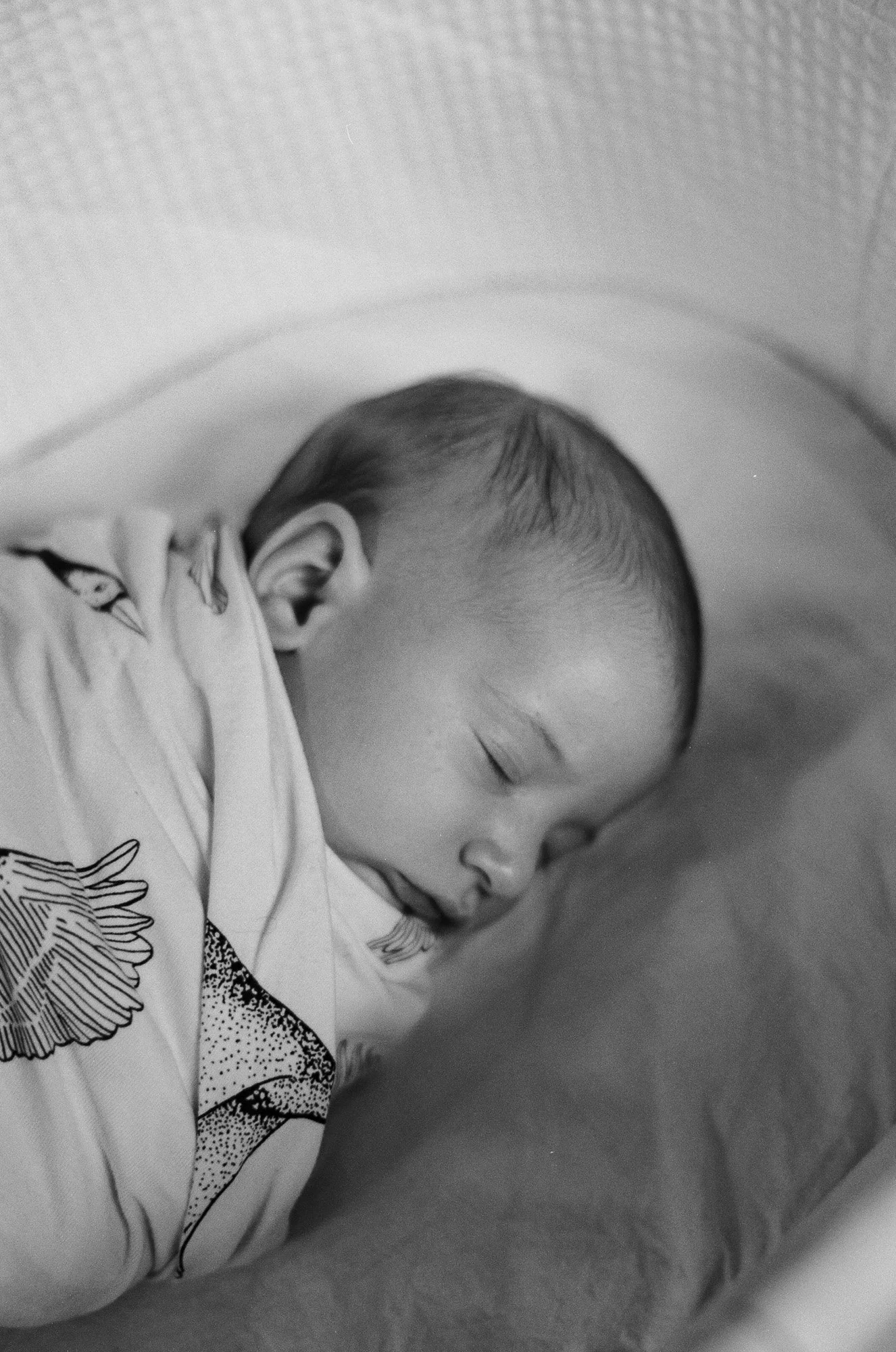 2024-03-06_Northwood_B&W-15.jpg