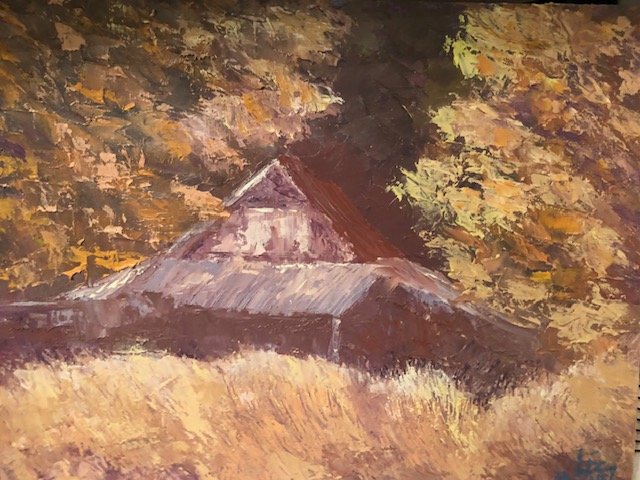 Old Shed