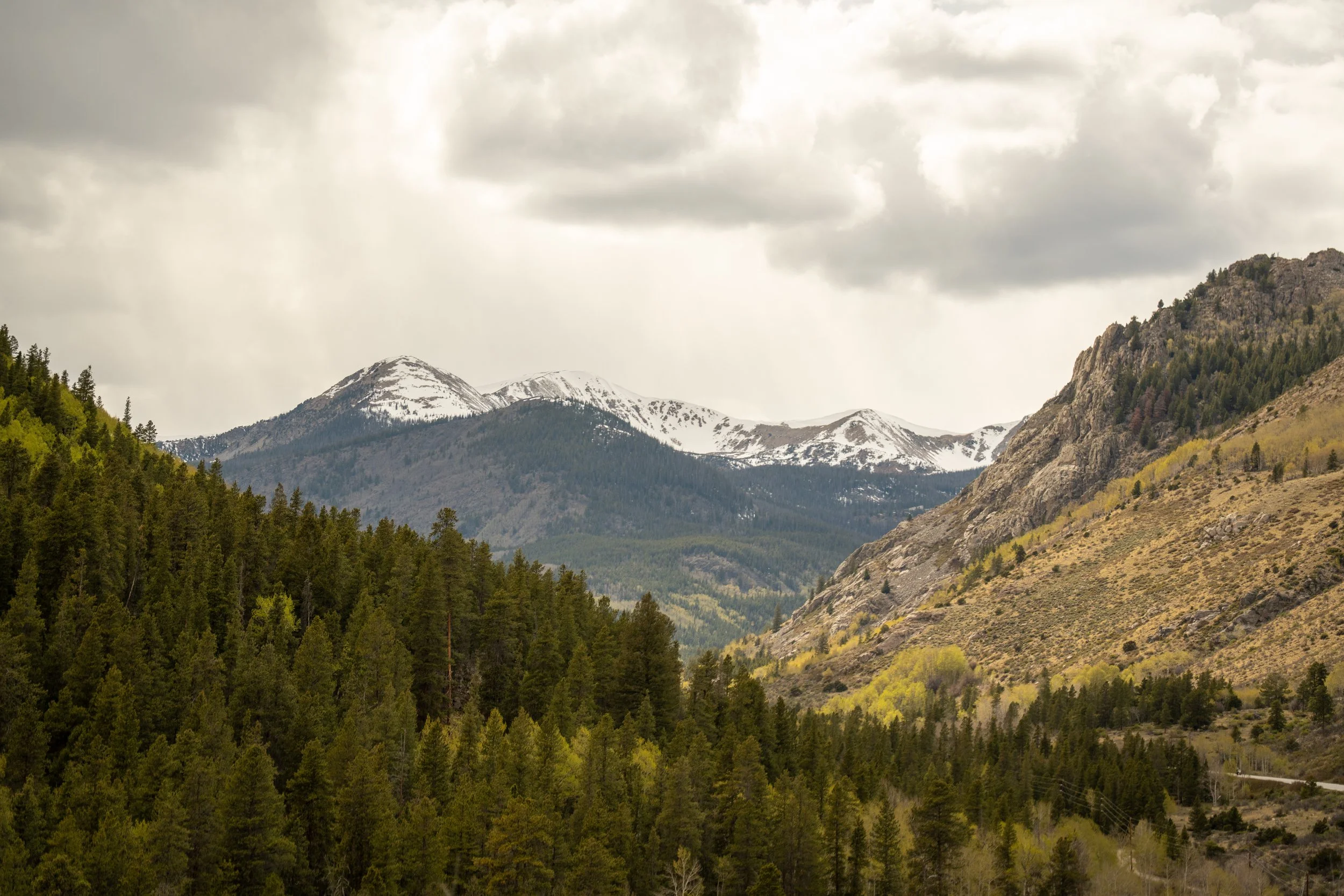 Colorado