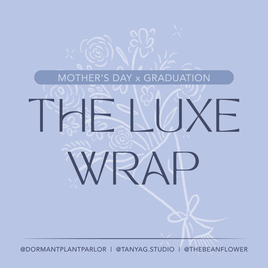 TS-DPP-TBF-1080x1080-2026-01 2.png