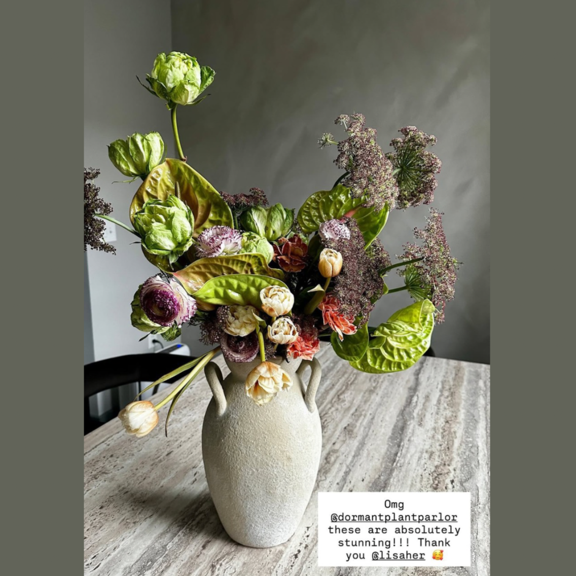 Copy+of+Mini+Moth.png (Copy) (Copy)