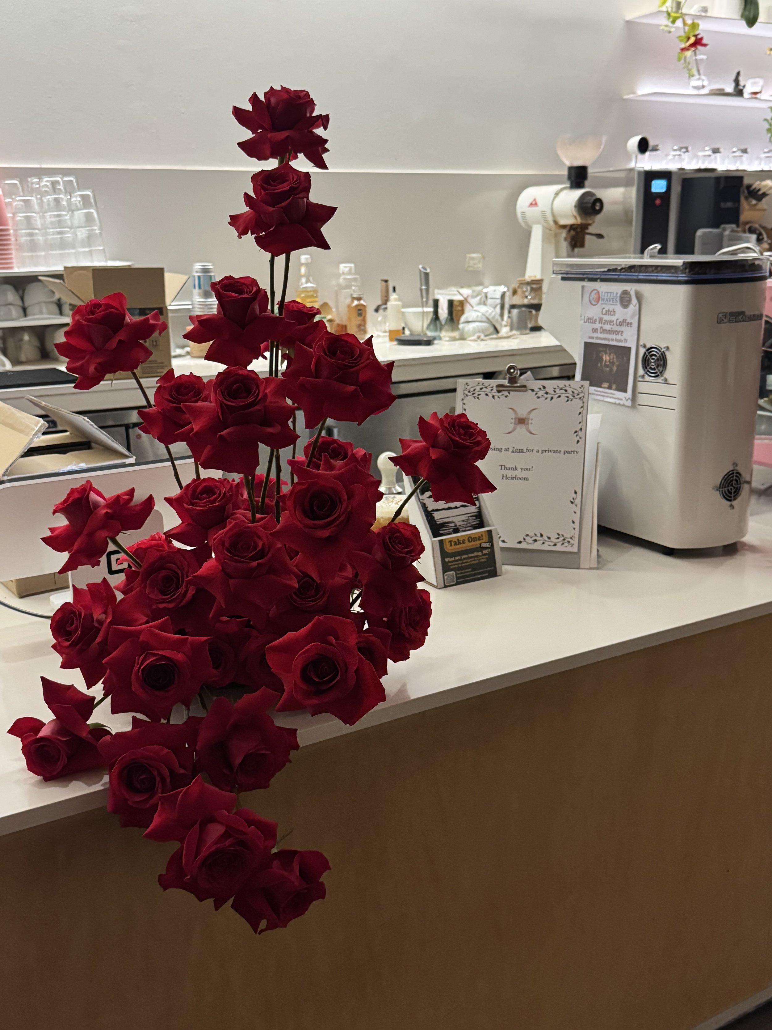 IMG_5715.jpeg (Copy) (Copy)