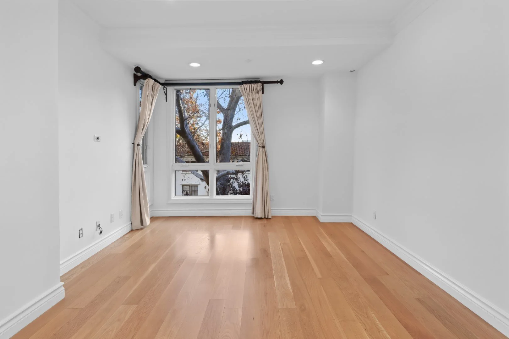 IMG_8462 (Large).JPG