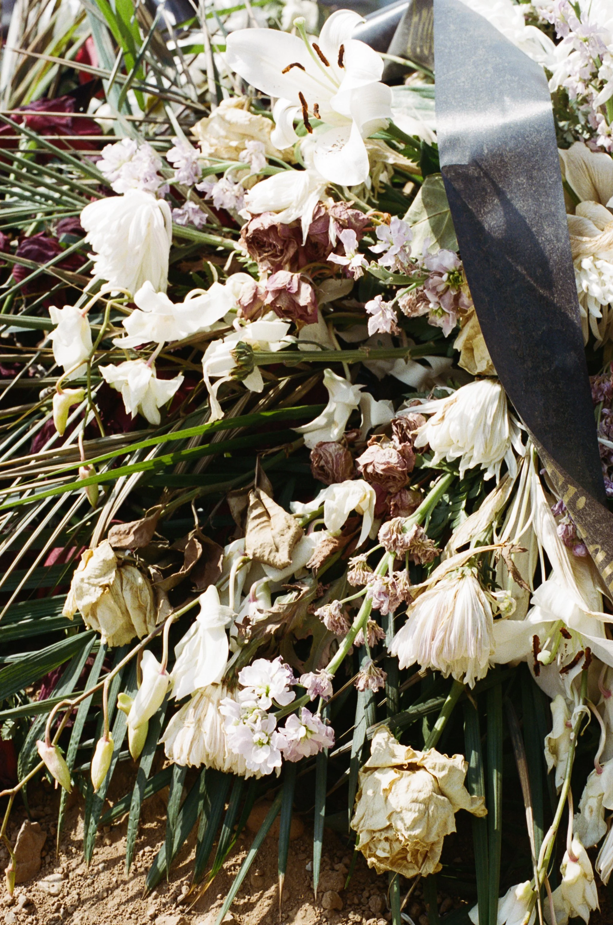 washingtoncemflowers.jpg