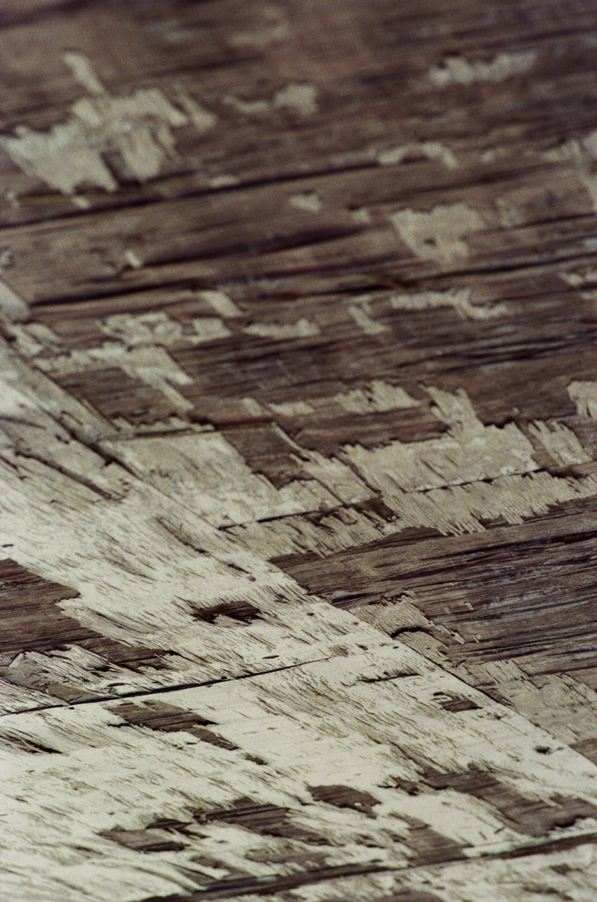 upsidedownboardwalk.jpg