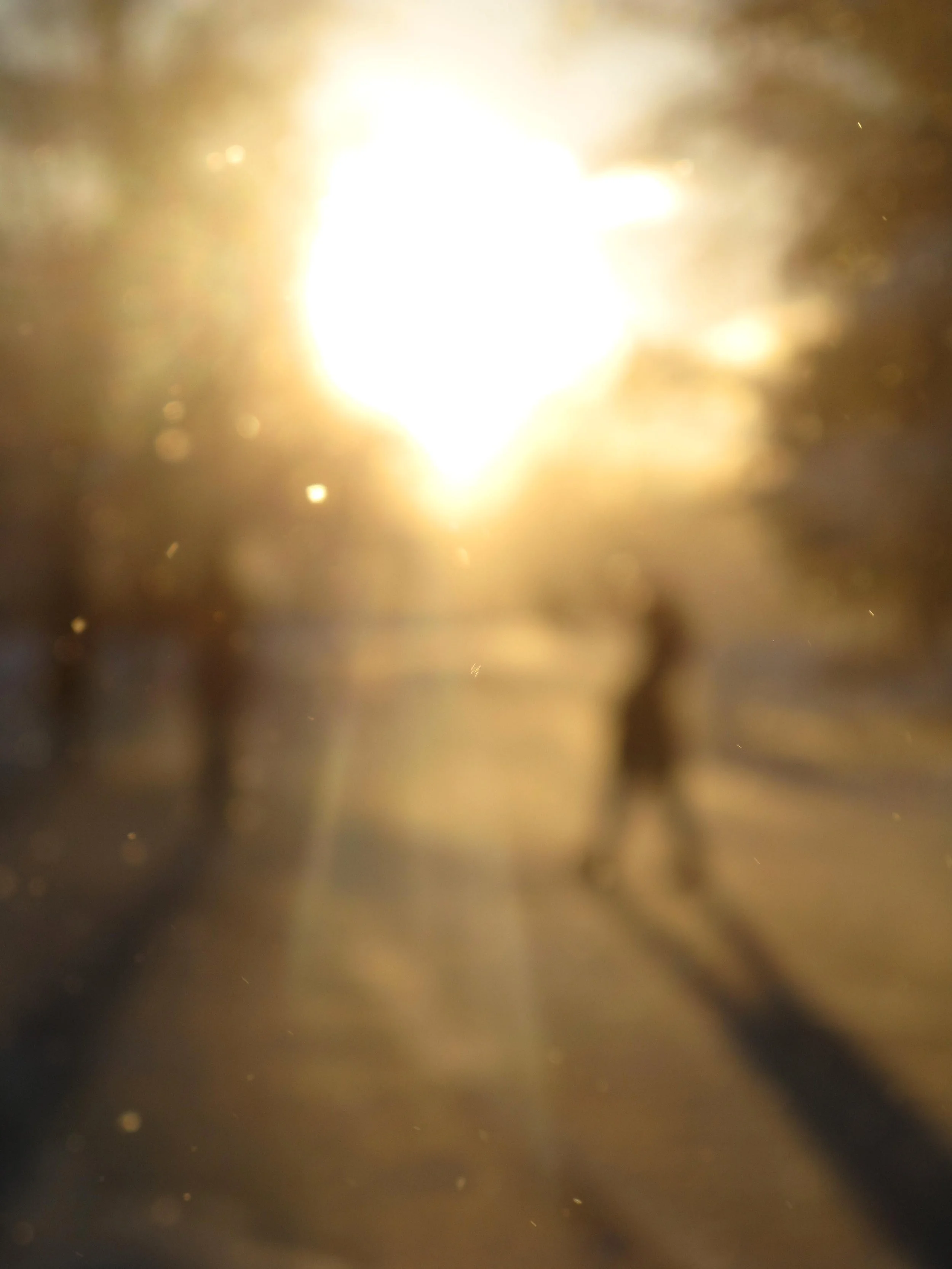snowsilhouette.jpg