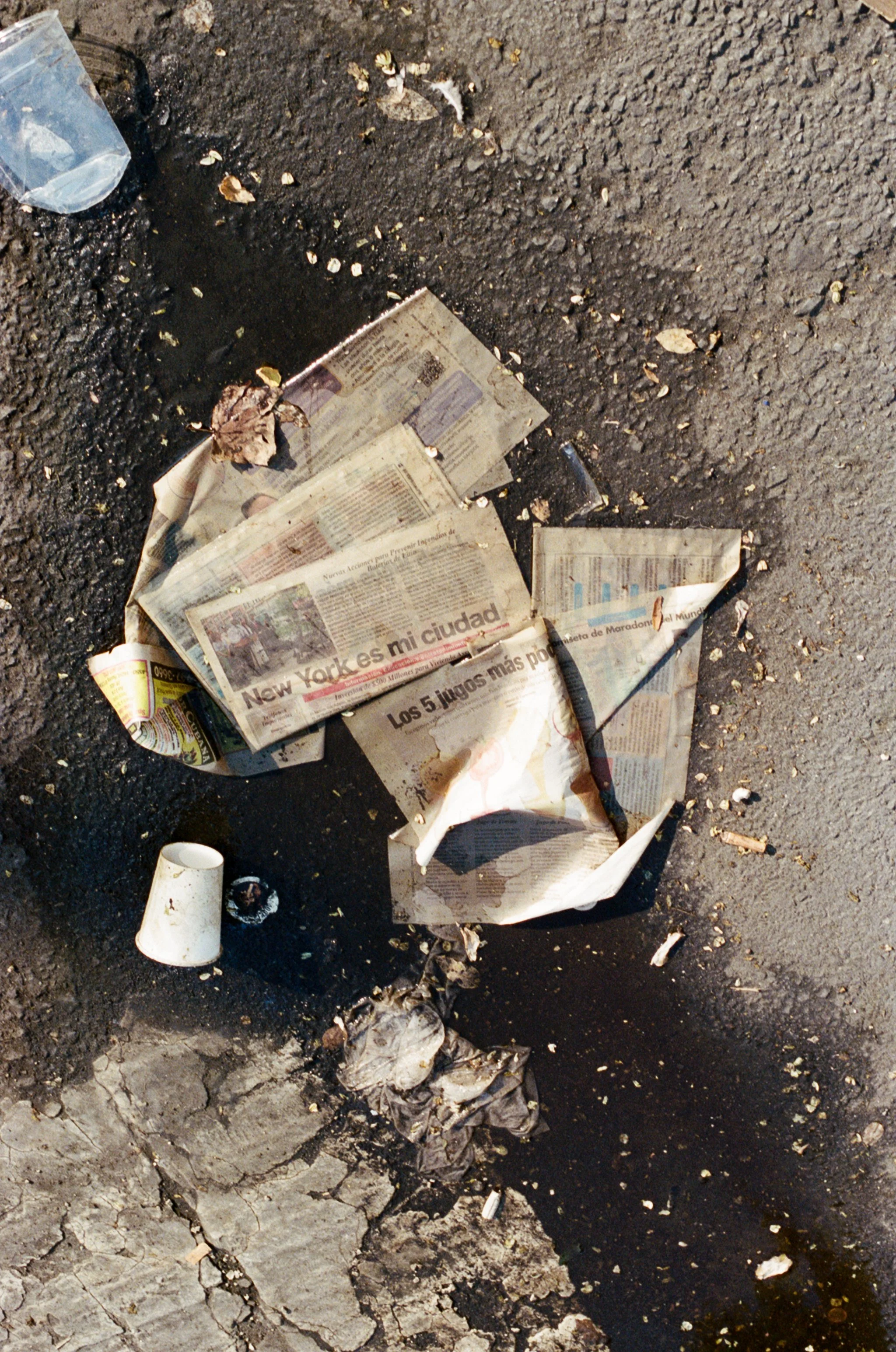 newyorkmycity.jpg