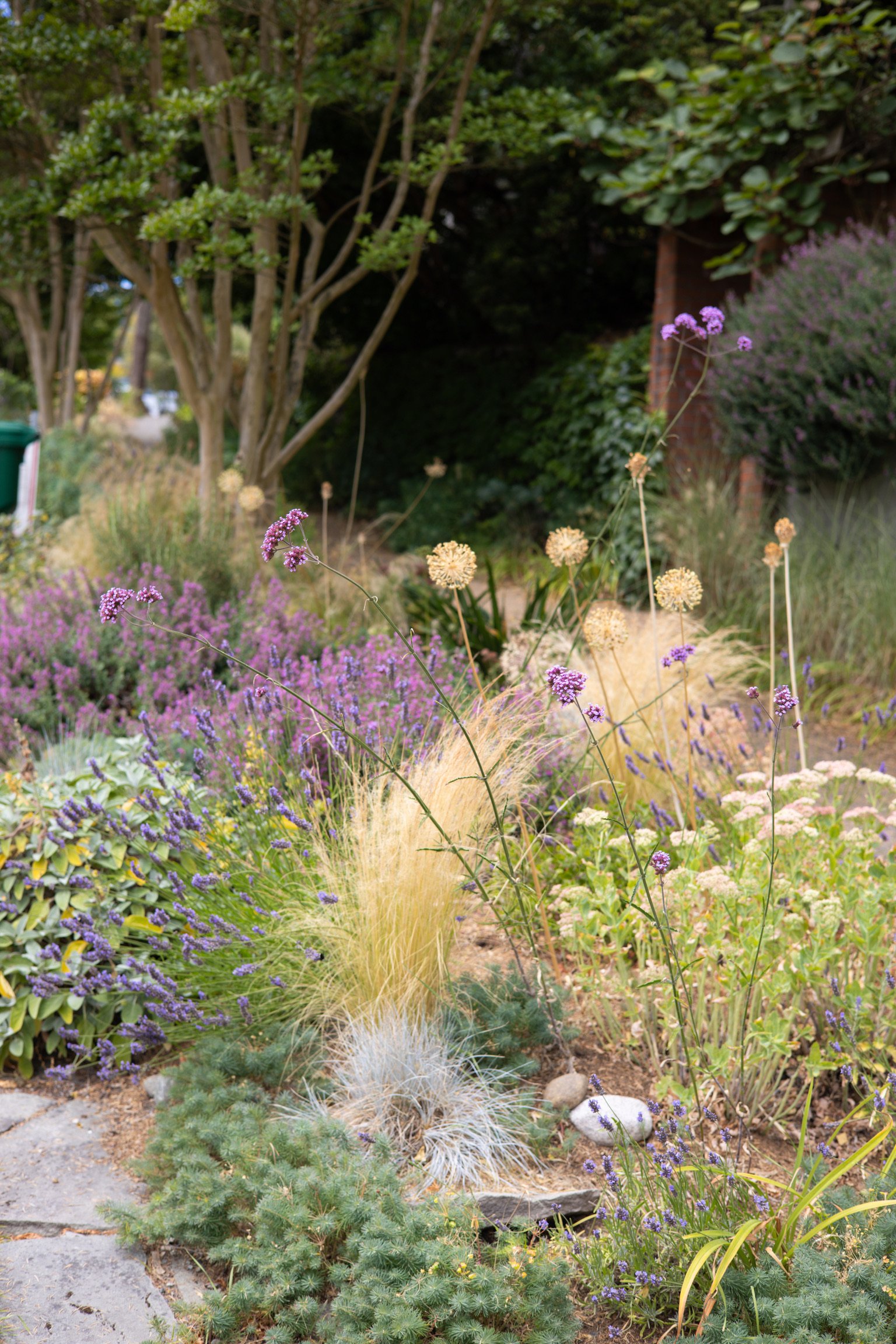 The hell-strip needed a refresh, tired plants were removed and tough drought tolerant plants helped create a magical space. 
