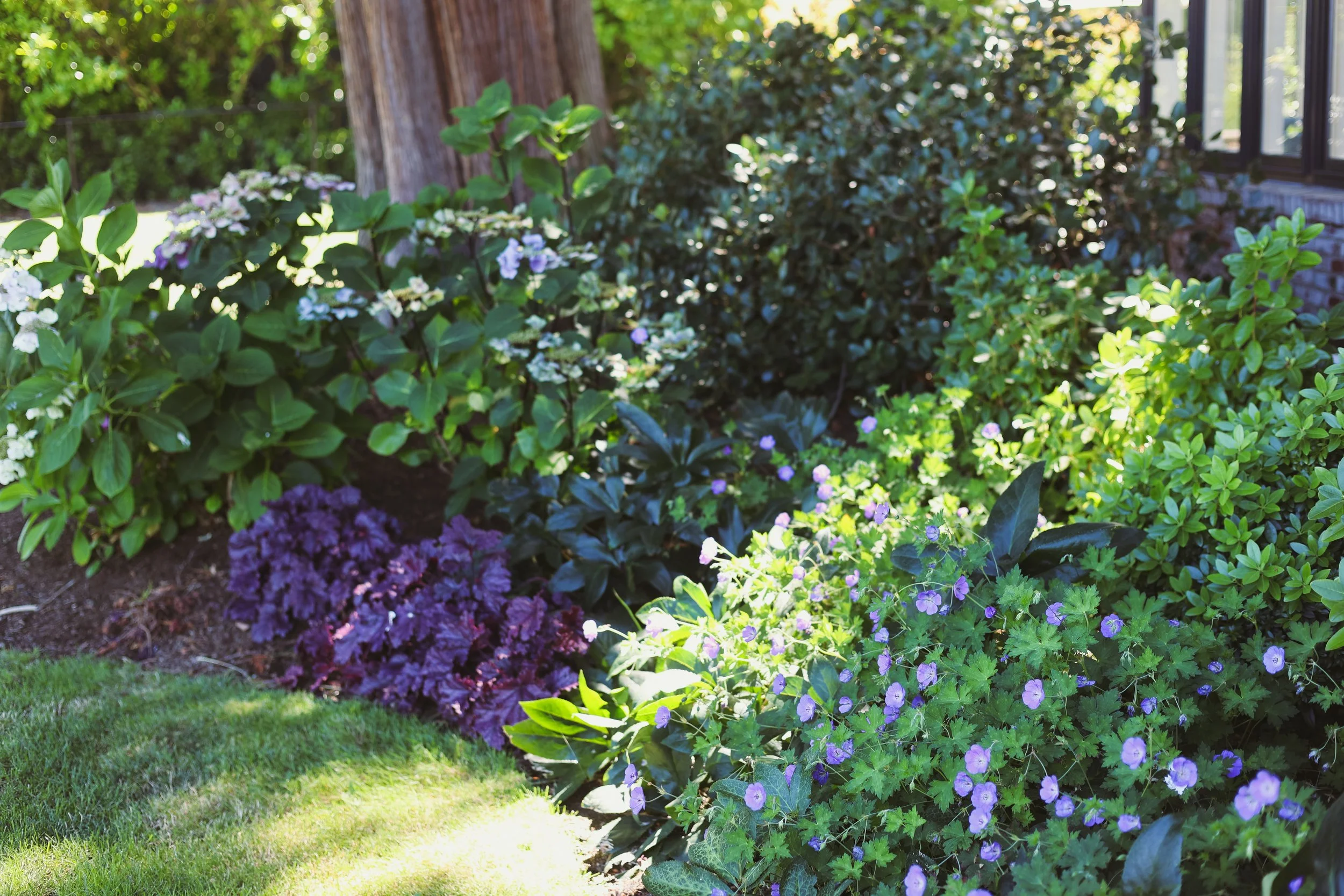 Greenhouse Garden