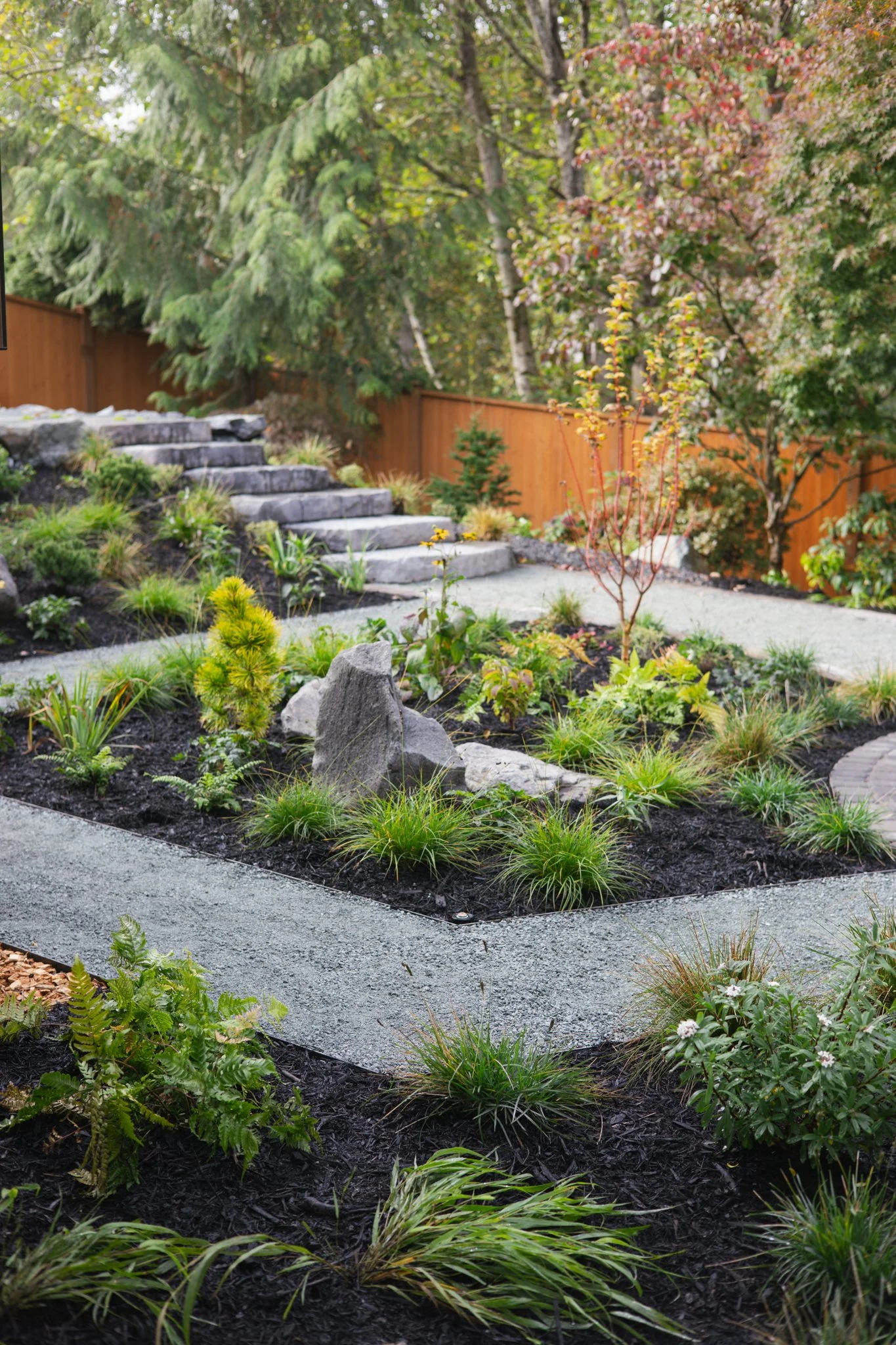 Ornamental grasses, ferns, sculptural evergreens, and boulders bring contrasting textures and forms to the planting beds.
