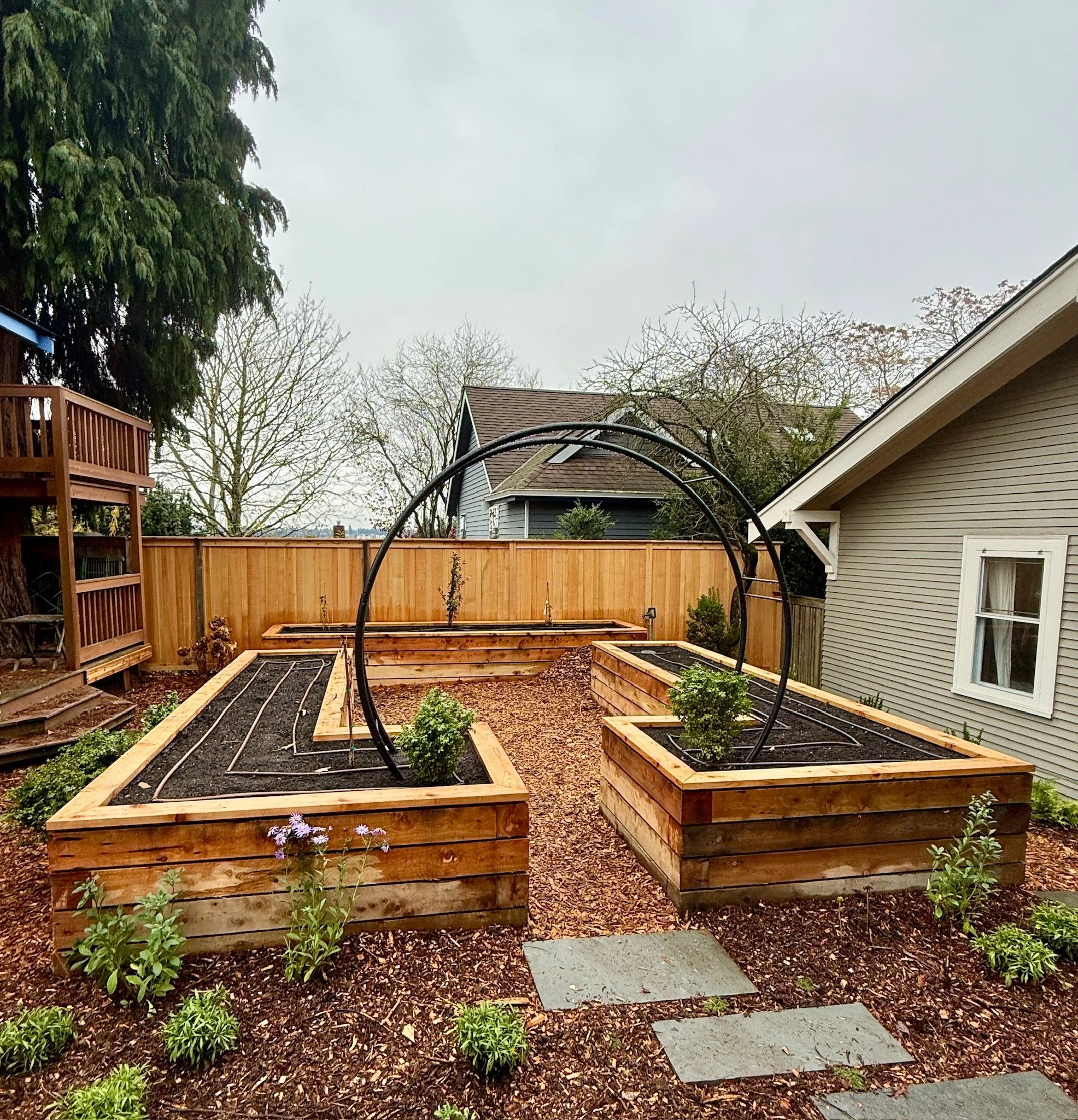 Newly installed kitchen garden framed by a moon gate. The raised beds are made of juniper, a beautiful and sustainable choice.
