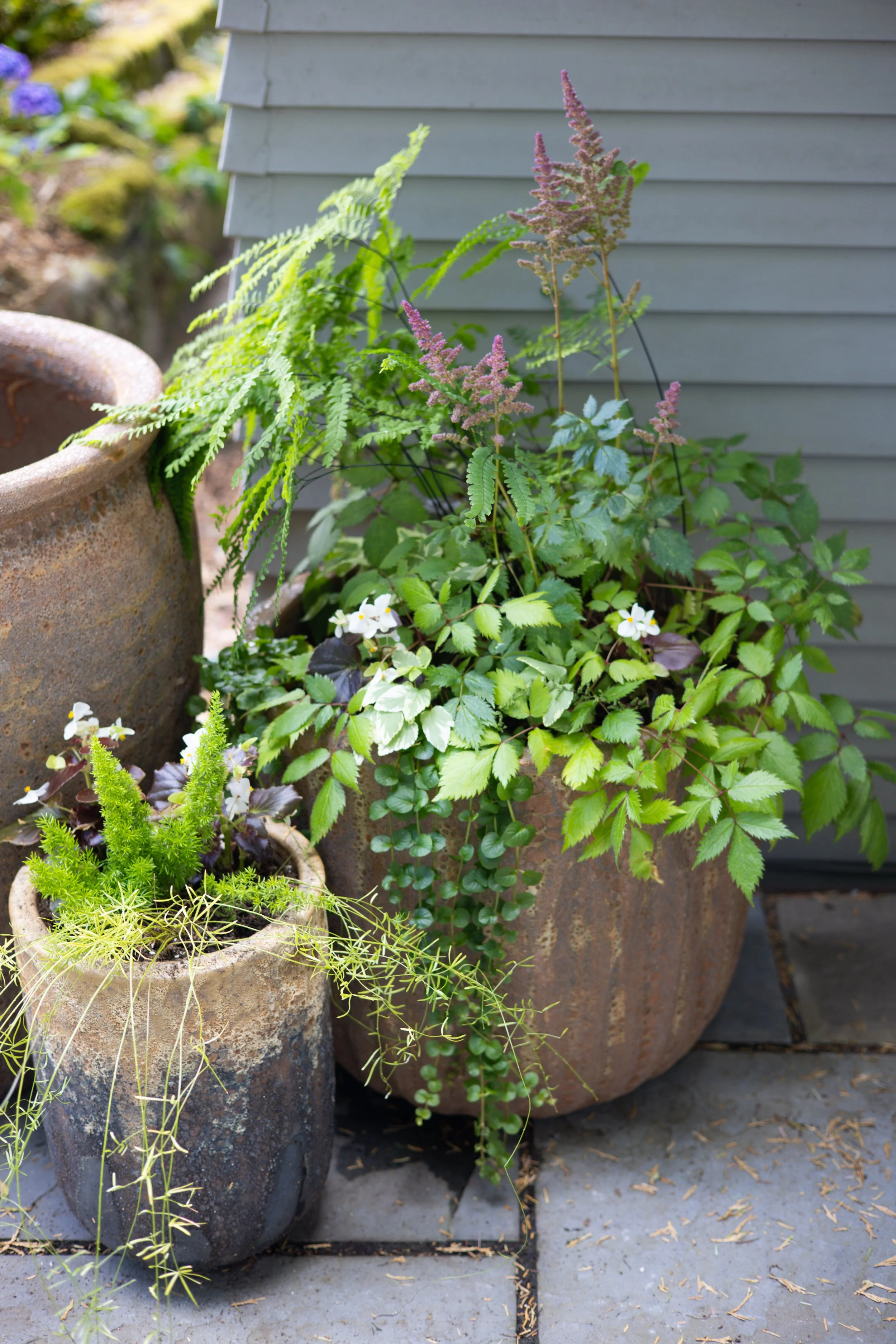Updated pots give new places to play with plant combos.