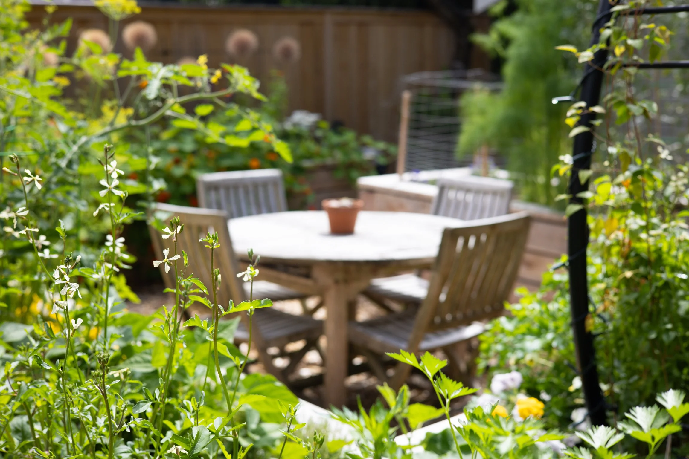 We designed enough space to create a cozy dining spot hugged by the raised beds.