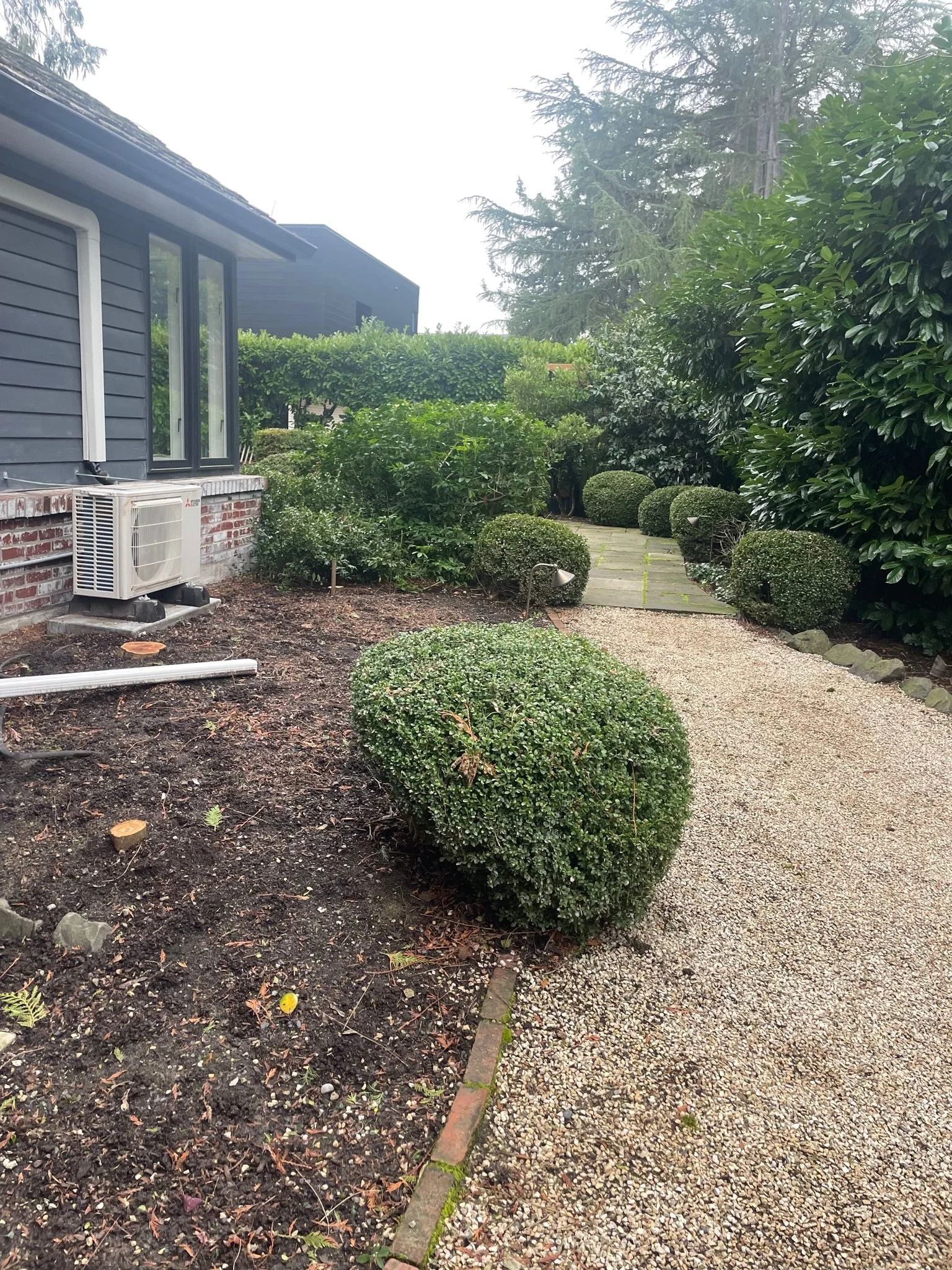 The path leading to the original patio had  several plants removed and was now sparse.