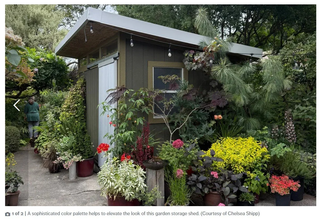 Photograph of a modern garden storage shed surrounded by diverse, vibrant plants and flowers, showcasing a sophisticated color palette with dark green walls and a light gray roof.