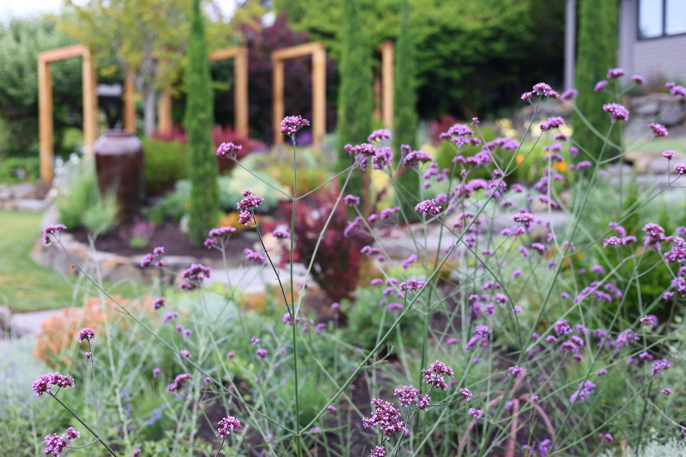 Layered planting creates glimpses into the garden and draws the eye through the space.