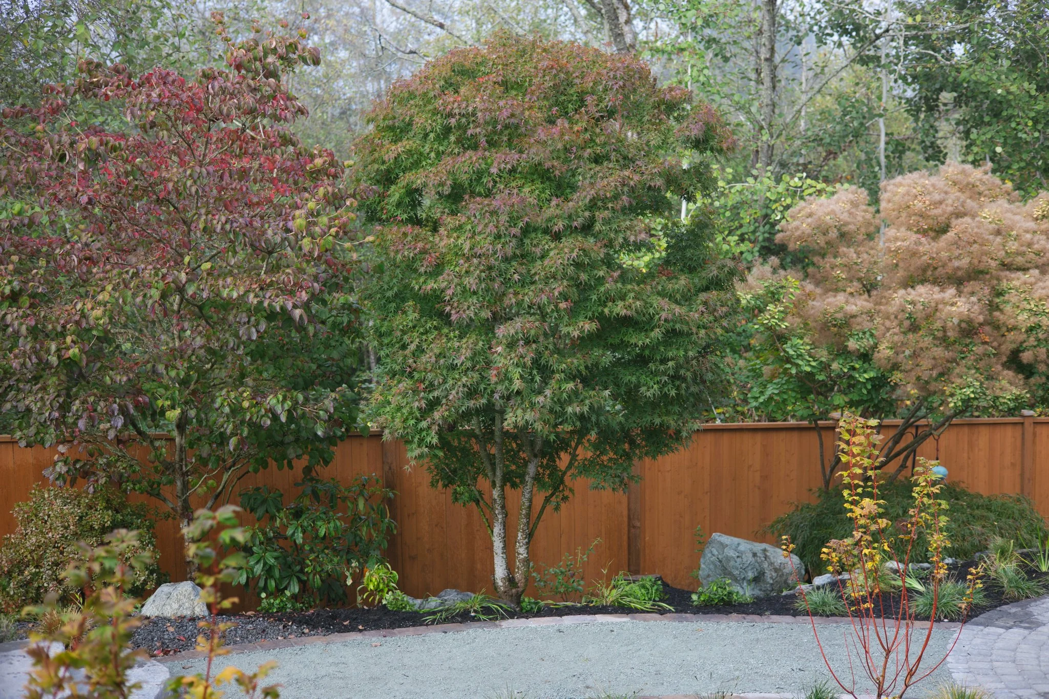Existing trees and thoughtfully selected shrubs provide a leafy backdrop, with autumn foliage bringing warmth and seasonal color.