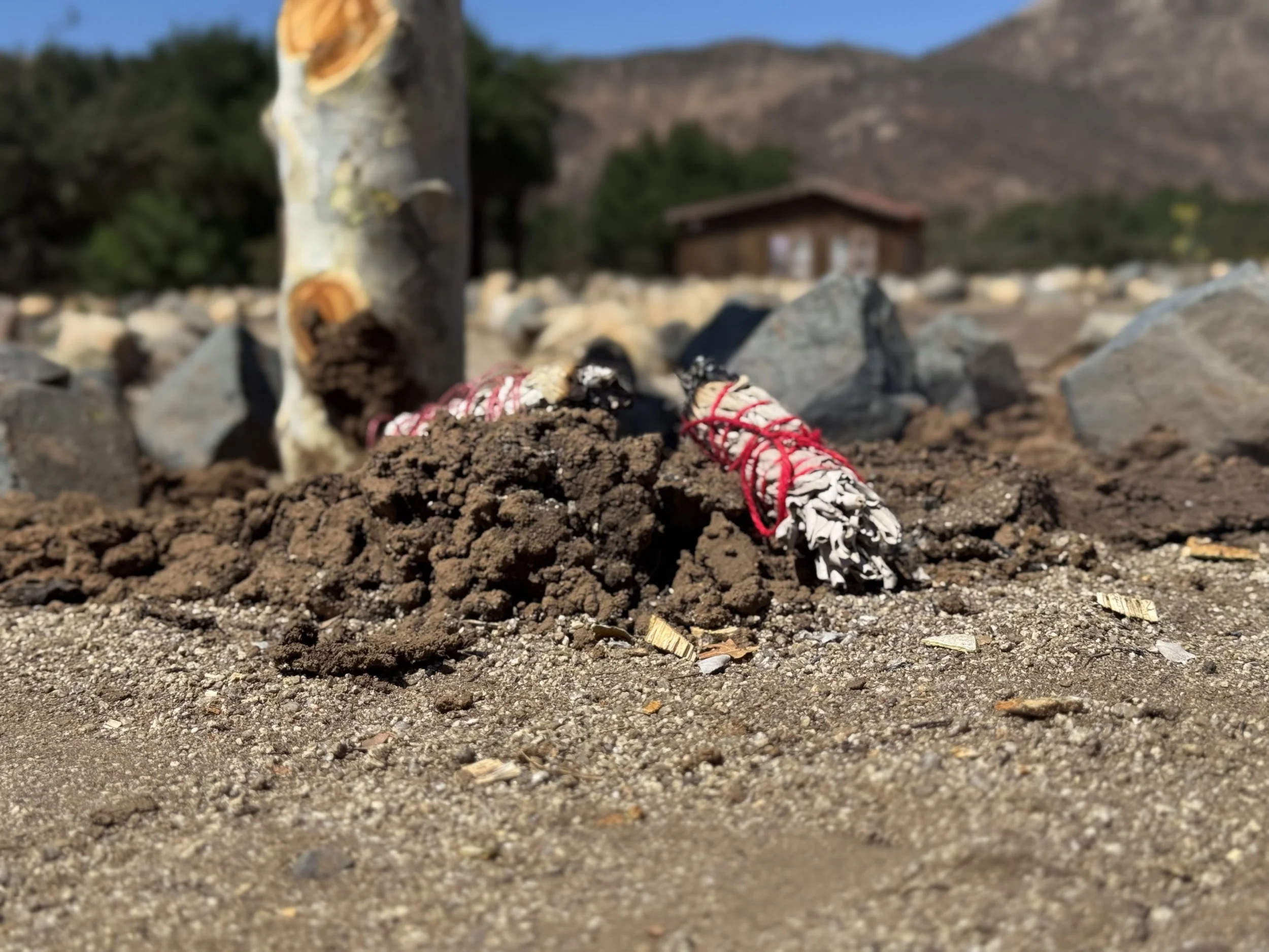 Festival de Cine del Valle de Guadalupe® IMG_6276.jpeg