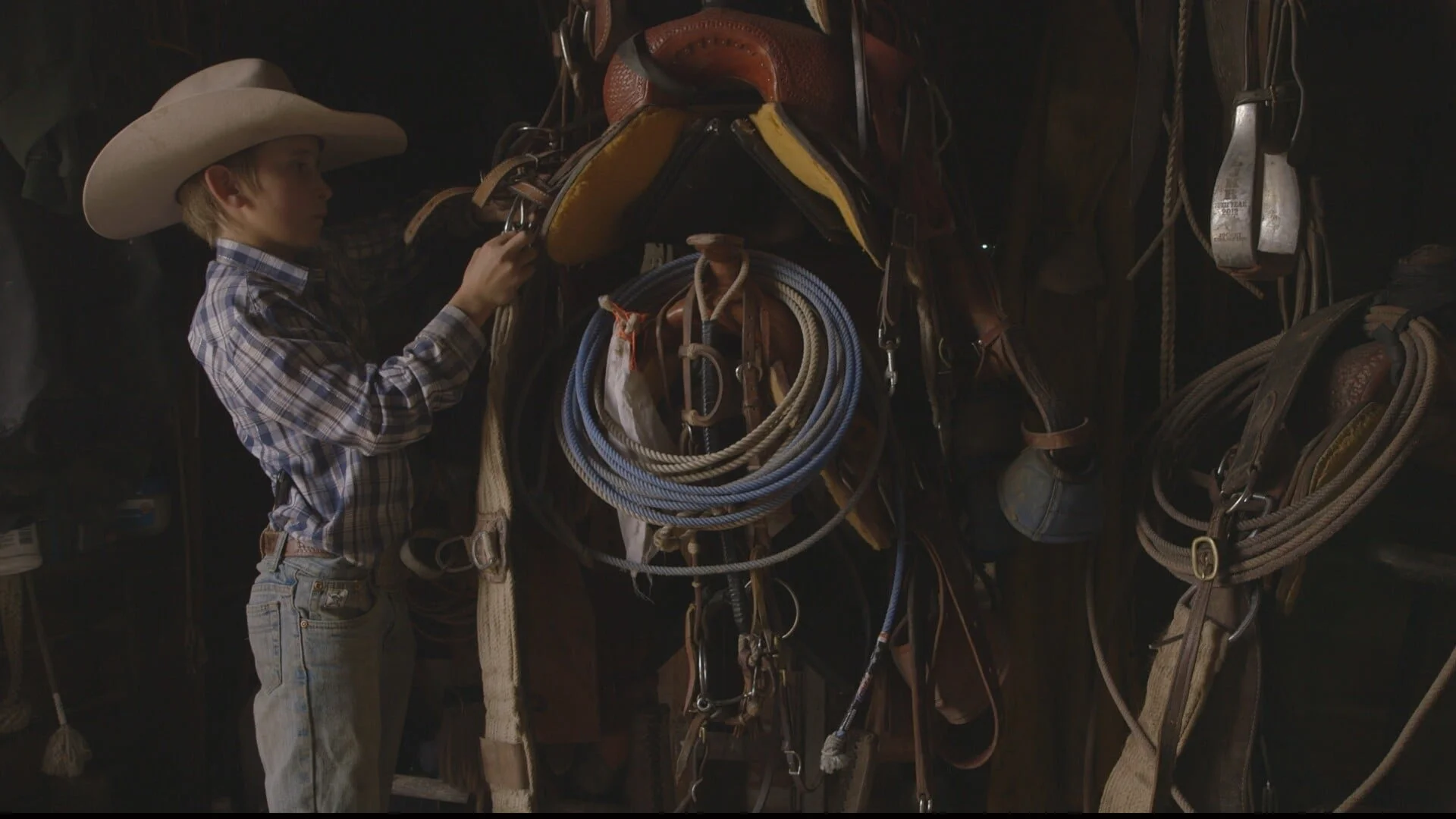 Photo 4 COWBOY_copyr_TELEKULT_02.jpg