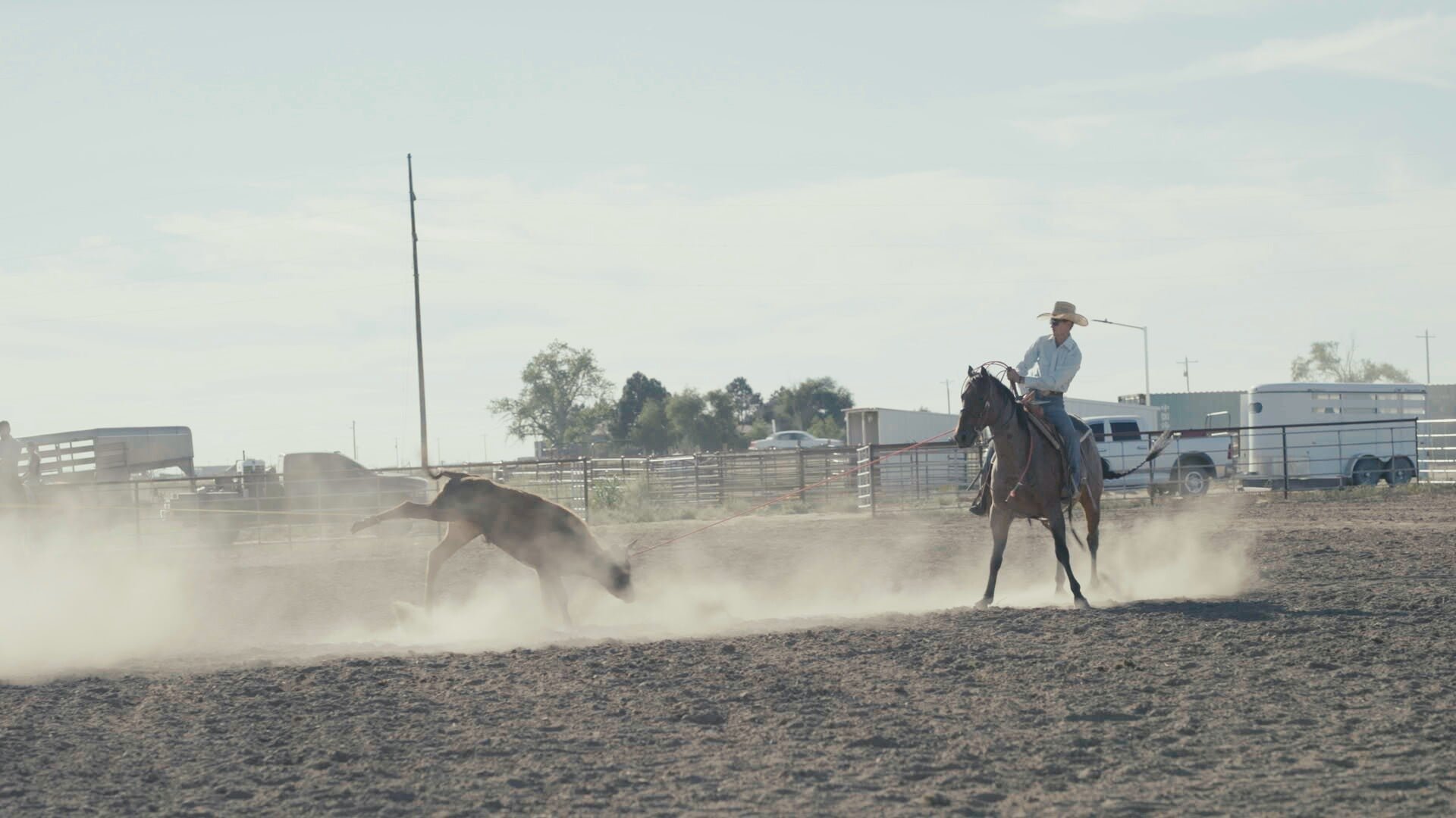 Photo 2 COWBOY_copyr_TELEKULT_22.jpg