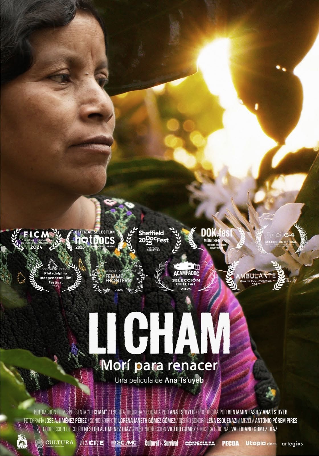 LICHAM_POSTER_SPANISH.jpg