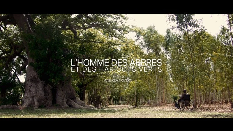 L'Homme des arbres et des haricots verts Poster 3c6e04547f-poster.jpg